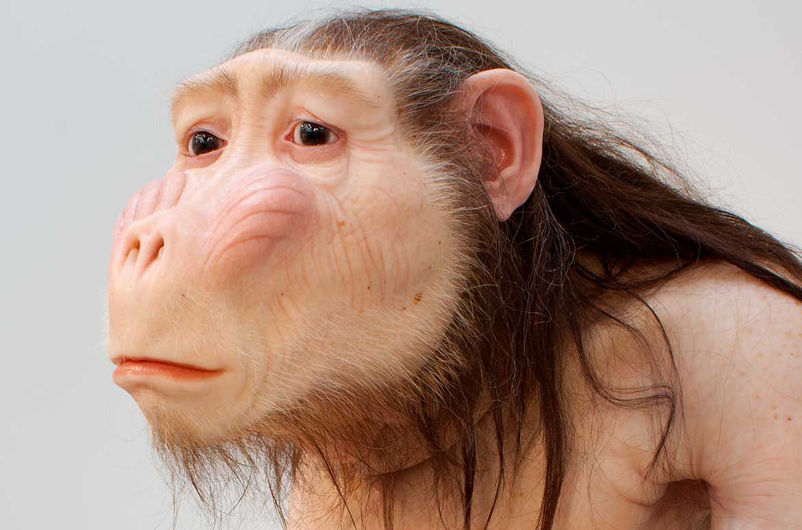 Patricia Piccinini, Australia b.1965 / Big Mother 2005 / Silicone, fibreglass, polyurethane, leather, human hair; ed. 2/3 + 1 AP / 175cm (high) / Gift of S Angelakis, John Ayers, Candy Bennett, Cherise Conrick, James Darling AM and Lesley Forwood, Rick Frolich, Frances Gerard, Patricia Grattan French, Stephanie Grose, Gryphon Partners Advisory, Janet Hayes, Klein Family Foundation, Edwina Lehmann, Ian Little, David and Pam McKee, Dr Peter McEvoy, Hugo and Brooke Michell, Jane Michell, Paul Taliangis, Michael and Tracey Whiting and anonymous donors through the Art Gallery of South Australia Contemporary Collectors 2010 / Collection: Art Gallery of South Australia, Adelaide / © The artist