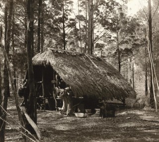 Robert Walker, Australia 1922 – 2007 / Ian Fairweather (from ‘Hut’ series) 1966, printed 2006 / Gelatin silver photograph on paper / 32.8 x 43.5cm / Purchased 2007. Queensland Art Gallery Foundation / Collection: Queensland Art Gallery | Gallery of Modern Art / © Robert Walker/Copyright Agency