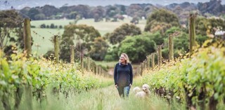 Kate McIntyre, Master of Wine, in the McIntyre Vineyard with Polly