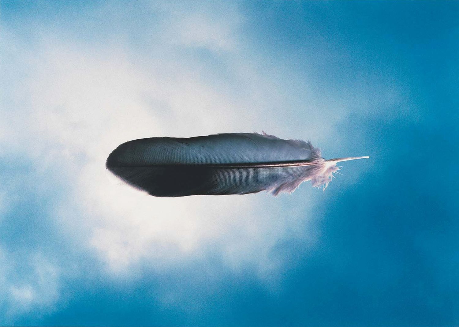 Michael Riley, Kamilaroi/Wiradjuri people, Australia 1960–2004 / cloud (portfolio) (detail) 2000 / Inkjet print on banner paper / Ten sheets: 001: 91.8 x 129.7cm; 002: 91.8 x 129.8cm; 003: 91.8 x 130.3cm; 004: 91.9 x 129.8cm; 005: 91.9 x 130.1cm; 006: 91.8 x 130.1cm; 007: 91.8 x 129.9cm; 008: 91.7 x 130.4cm; 009: 92 x 130.1cm; 010: 92 x 126.4cm / Purchased 2002 / Collection: Queensland Art Gallery | Gallery of Modern Art / © Michael Riley Estate