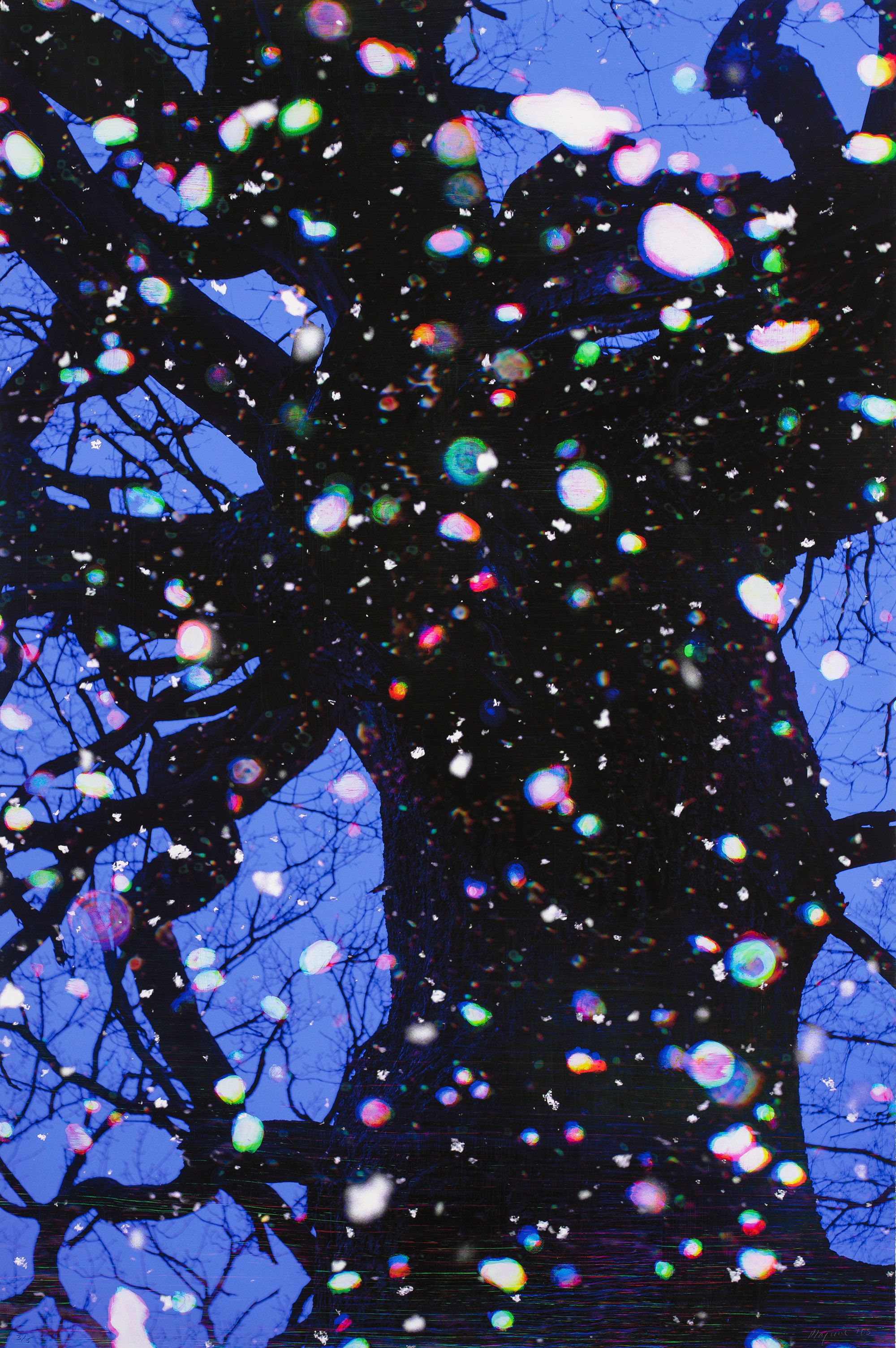 Tim Maguire, Australia/United Kingdom b.1958 / Trees and snow I 2008 / Digital pigment ink on paper / 180.2 x 119.6cm (comp., irreg.) / Gift of an anonymous donor through the QAG Foundation 2012. Donated through the Australian Government's Cultural Gifts Program / Collection: Queensland Art Gallery | Gallery of Modern Art / © Tim Maguire
