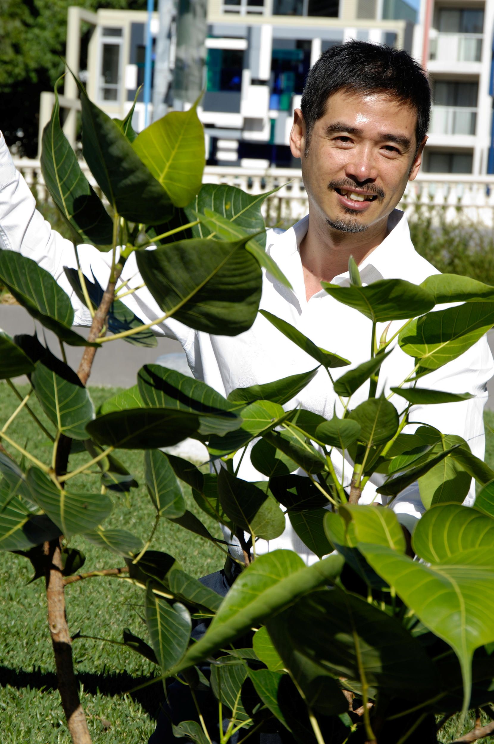 Artist Lee Mingwei at the Bodhi Tree planting, GOMA, April 2008 / Photograph: N Harth, QAGOMA