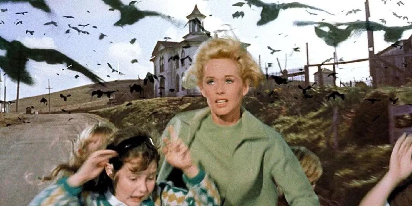 Production still from The Birds 1963 / Director: Alfred Hitchcock / Image courtesy: Universal Pictures Australia