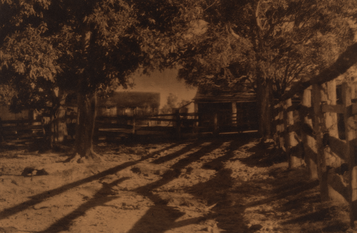 Rose Simmonds, Australia 1877-1960 / Shadows c.1930 / Gelatin silver photograph on paper / 19.3 x 29.6cm (comp.) / Gift of Rosemary Goodchild and Margaret Andresen 1993 / Collection: Queensland Art Gallery | Gallery of Modern Art