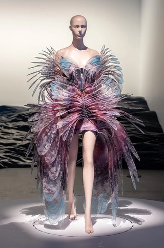 Celebrities dressed by Iris Van Herpen QAGOMA Stories Queensland Art Gallery | Gallery of Modern Art Celebrities dressed by Iris Van Herpen QAGOMA Stories Queensland Art Gallery | Gallery of Modern Art