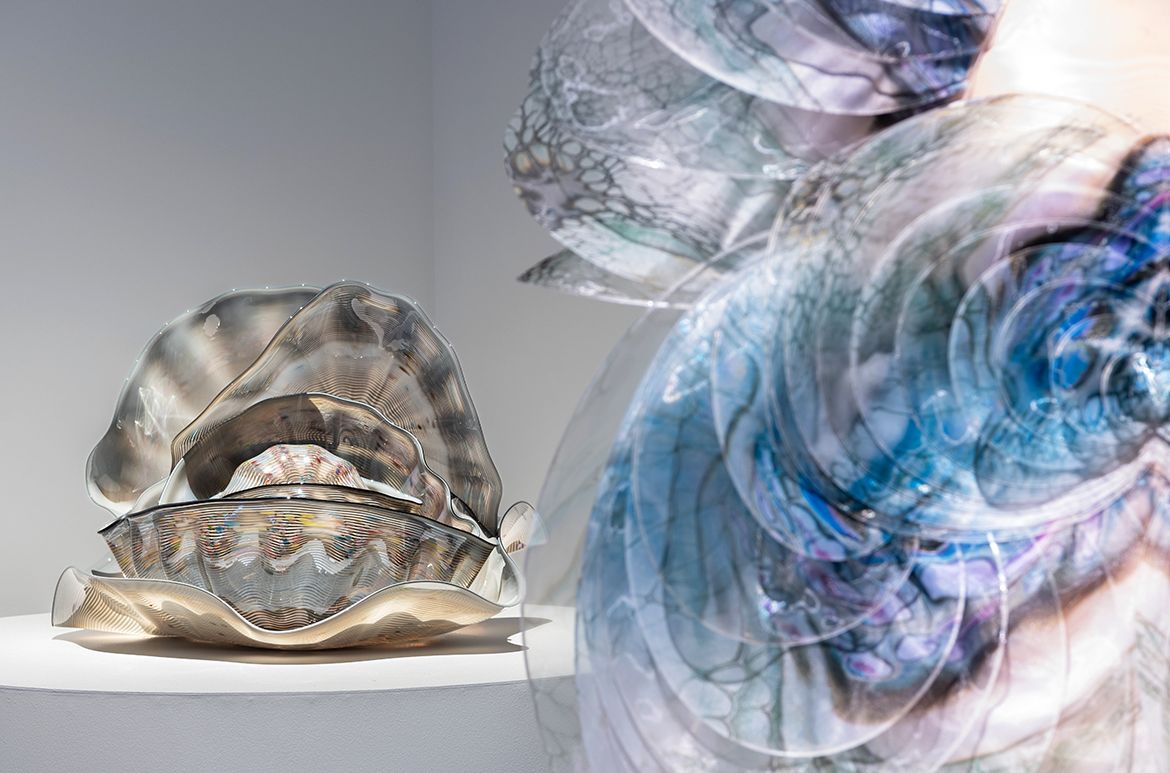 Dale Chihuly, United States b.1941 / Billy Morris (gaffer), United States / Seaform Macchia group #85.84.7 1984 installed in ‘Iris van Herpen: Sculpting the Senses’, GOMA 2024 / Hot-worked grey glass threaded with dark grey glass with multicoloured spots in seven free forms / Purchased 1985 / Collection: Queensland Art Gallery │ Gallery of Modern Art / © The artists