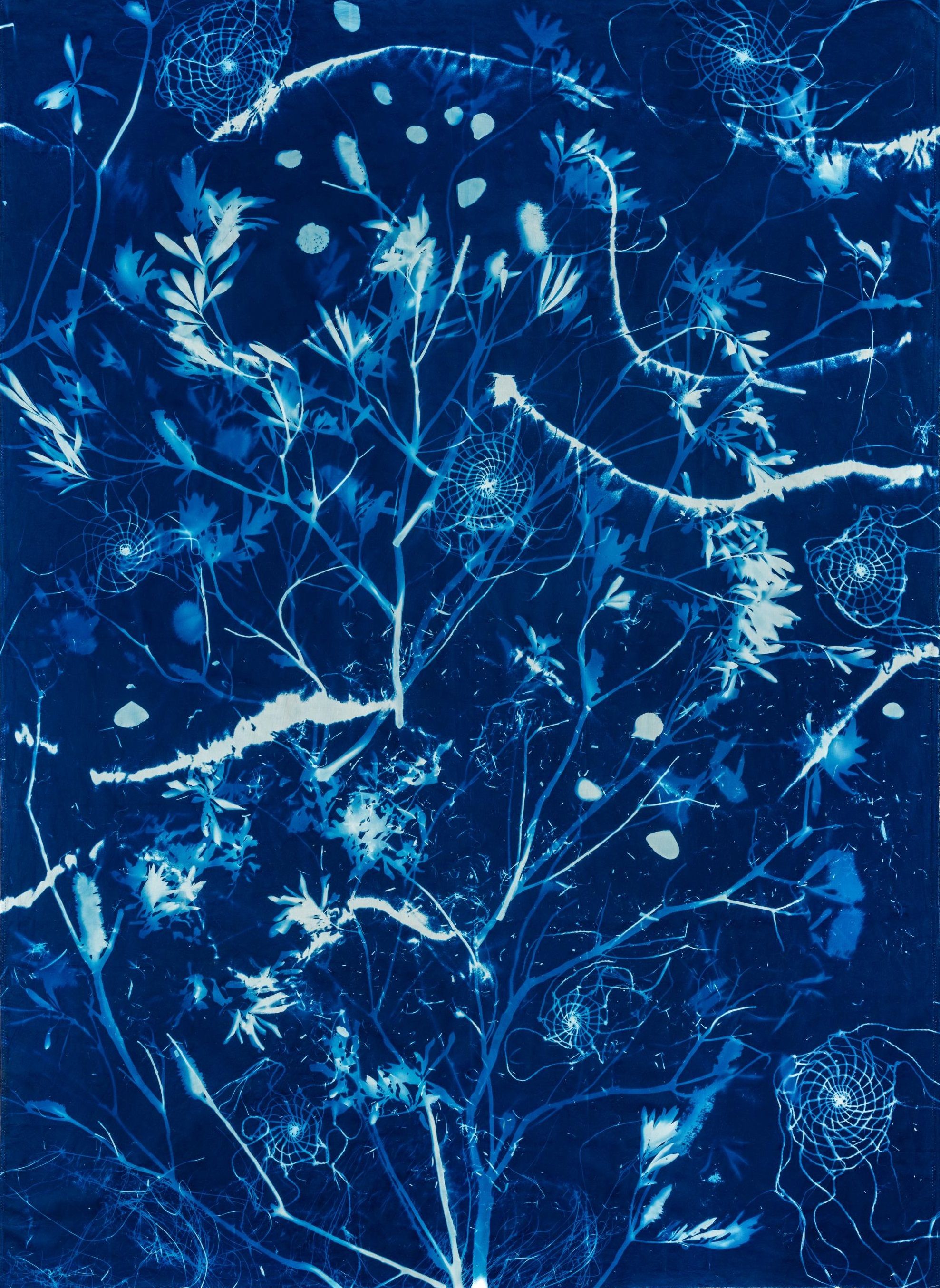Elisa Jane Carmichael, Fallen - Pulan (series) 3 2023, Cyanotype on cotton / © Elisa Jane Carmichael / Courtesy of the artist and Onespace Gallery / Photograph: Louis Lim 