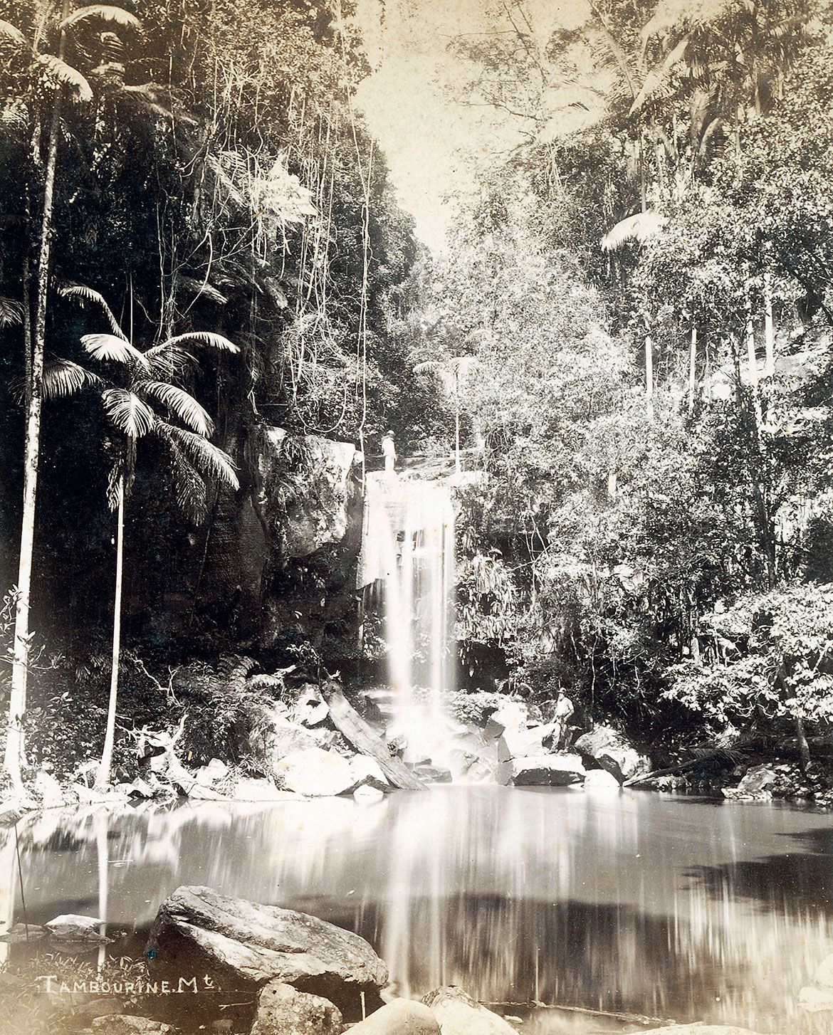 Waterfall (now in the Tamborine Mountain Botanic Gardens) c.1879 / Image number: APU-049-0001-0038 / Image courtesy State Library of Queensland, Brisbane