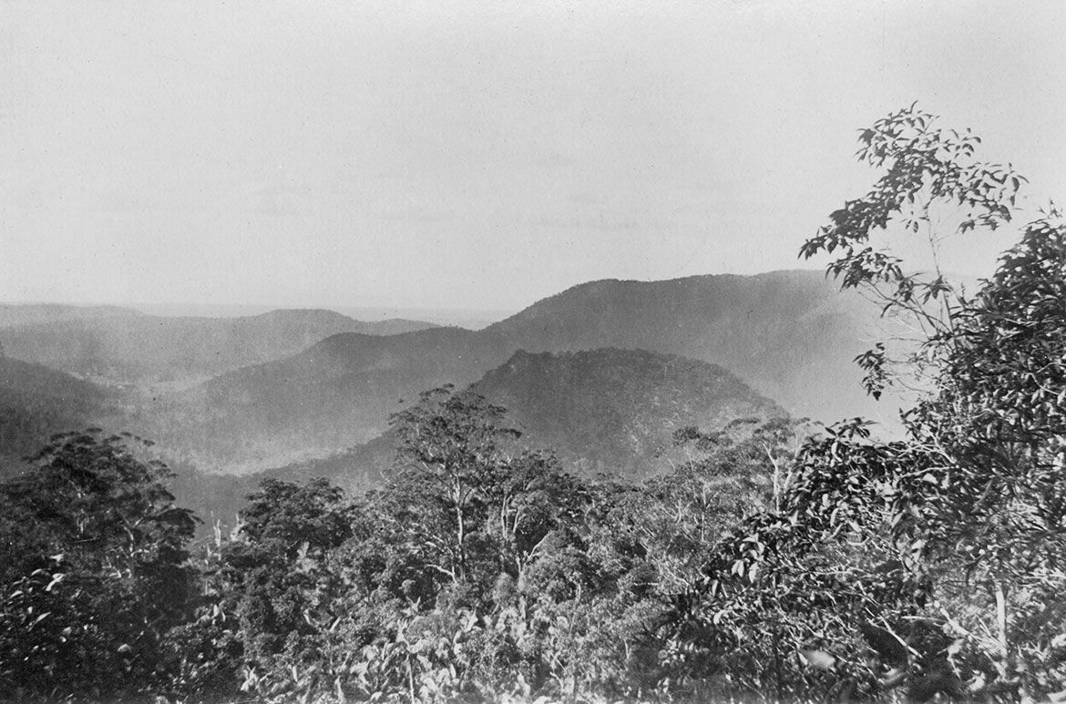 View from Mount Tamborine, Queensland, ca. 1917 / Negative number: 201837 / Image courtesy State Library of Queensland, Brisbane