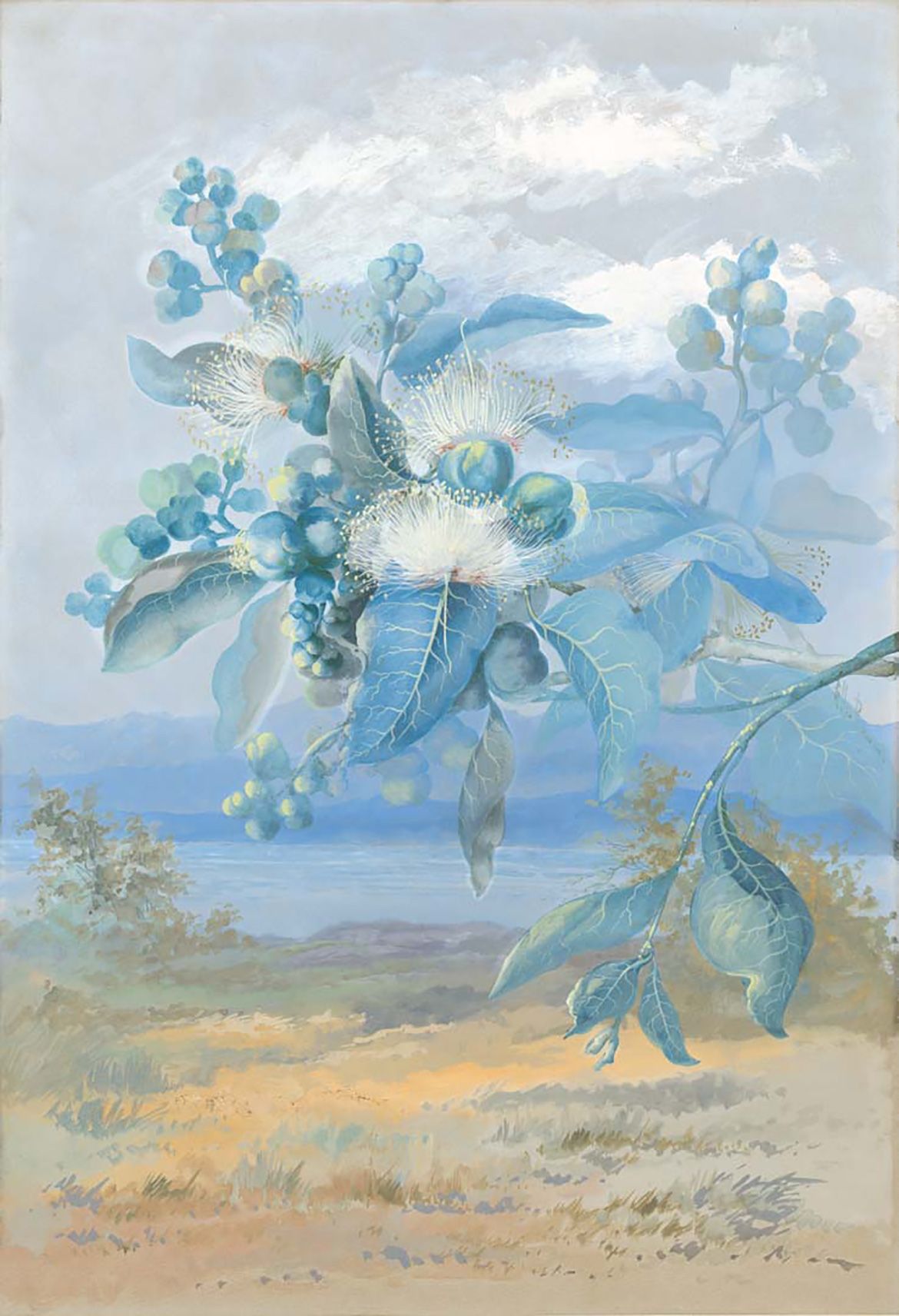 Marian Ellis Rowan, Australia 1847-1922 / Eugenia c.1891 / Watercolour and gouache on paper / 52 x 36cm / Purchased 2011 with funds from Roger and Marjorie Morton through the QAG Foundation / Collection: Queensland Art Gallery | Gallery of Modern Art