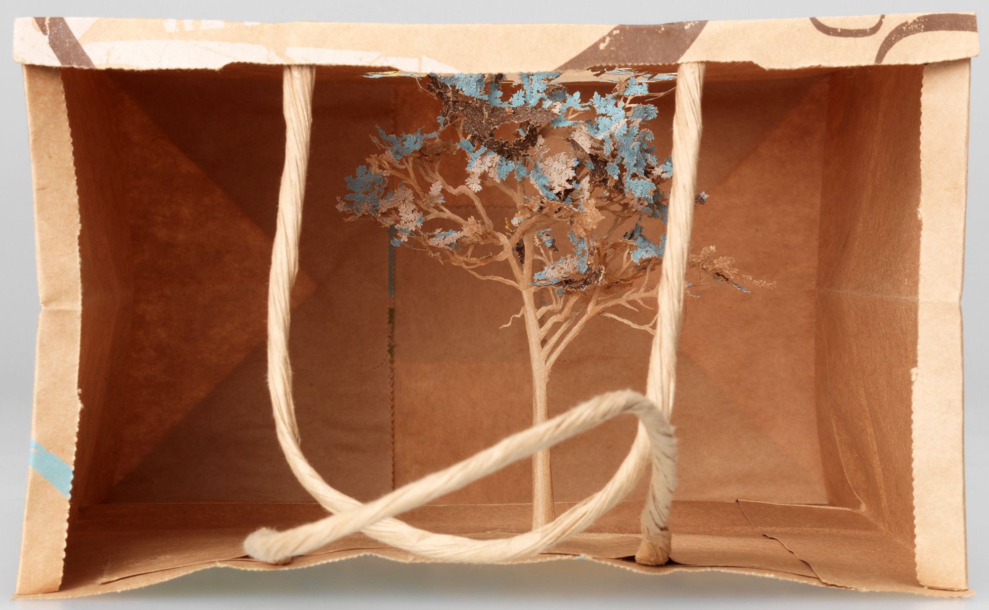 Yuken Teruya, Japan b.1973 / Notice - Forest 2006 / Paper and glue / d: 12 x 20 x 26.2cm (without handles); 12 x 20 x 37.3cm (with handles) / Purchased 2007. The Queensland Government's GOMA Acquisitions Fund / Collection: Queensland Art Gallery | Gallery of Modern Art / © Yuken Teruya