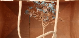 Yuken Teruya, Japan b.1973 / Notice - Forest 2006 / Paper and glue / d: 12 x 20 x 26.2cm (without handles); 12 x 20 x 37.3cm (with handles) / Purchased 2007. The Queensland Government's GOMA Acquisitions Fund / Collection: Queensland Art Gallery | Gallery of Modern Art / © Yuken Teruya
