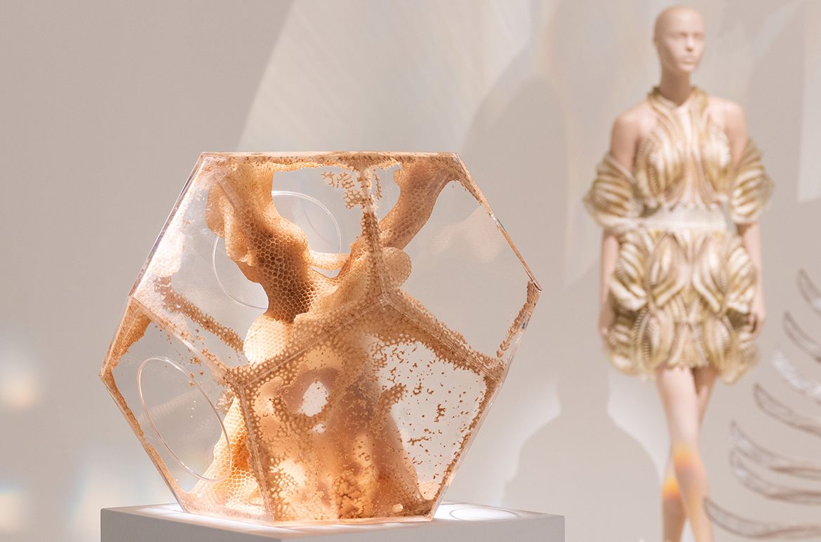 Ren Ri, China b.1984 / Yuansu Series II – #12-2 2023 installed in ‘Iris van Herpen: Sculpting the Senses’, GOMA 2024 / Beeswax, acrylic, wood / © & courtesy: Ren Ri / Photograph: N Umek © QAGOMA