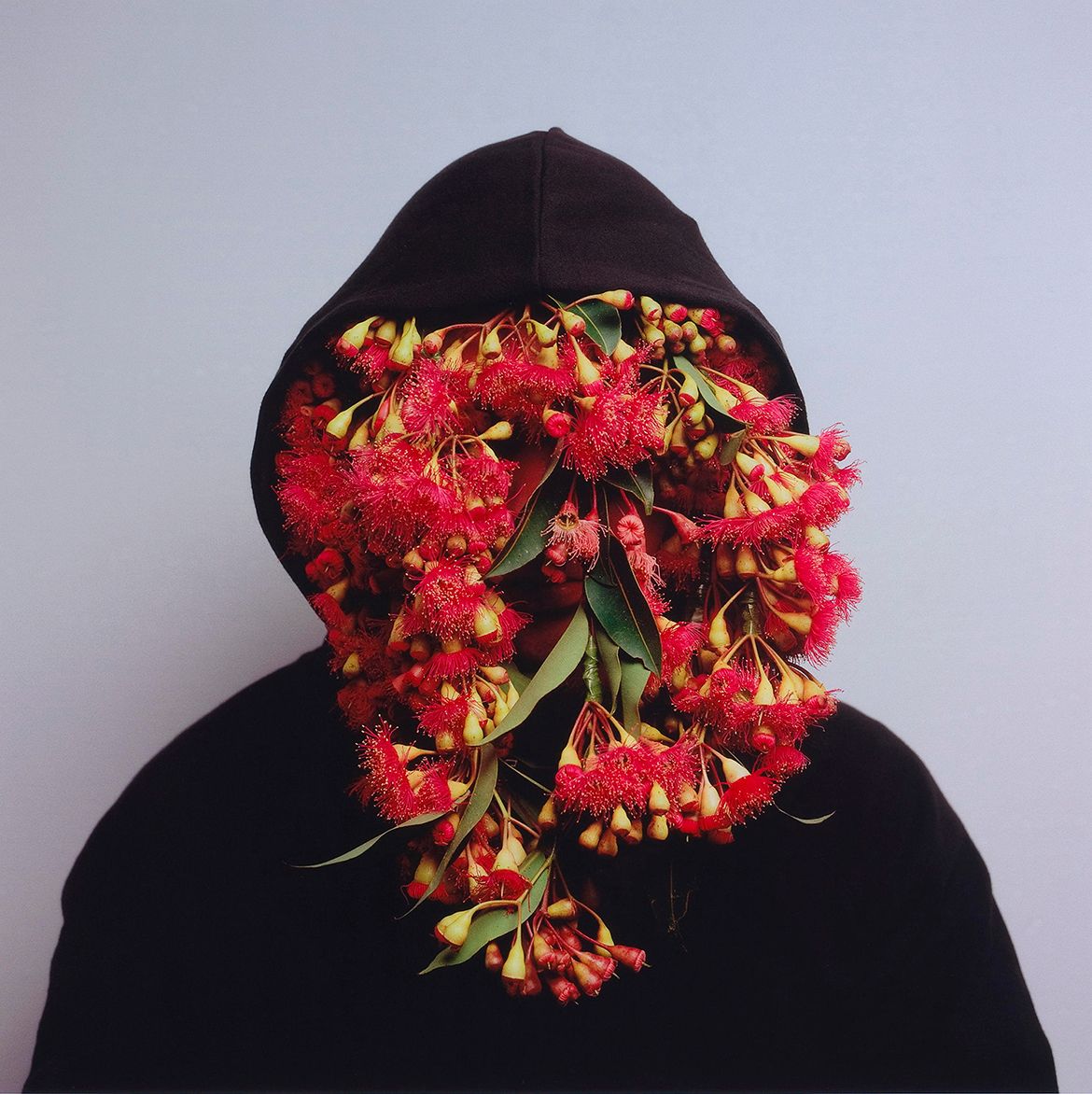 Christian Thompson, Bidjara people, Australia/United Kingdom b.1978 / Black Gum 2 (from ‘Australian Graffiti’ series) 2008 / Type C photograph on paper / 108 x 110cm / Purchased 2008. The QAG Foundation Grant / Collection: Queensland Art Gallery | Gallery of Modern Art / © Christian Thompson
