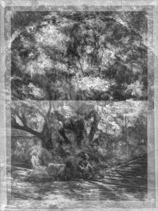 Under the jacaranda / Digital X-ray composite / Photograph: N Harth