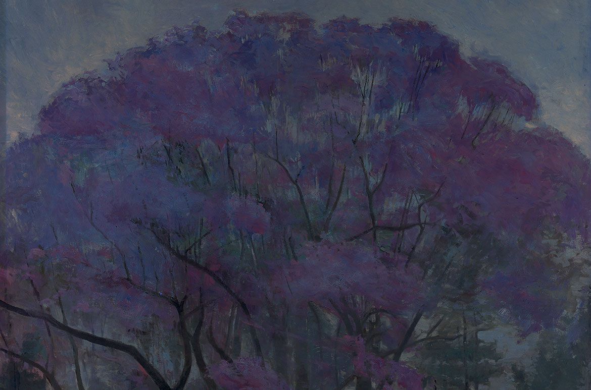 Under the jacaranda / Ultraviolet (UV) fluorescence / Photograph: Natasha Harth