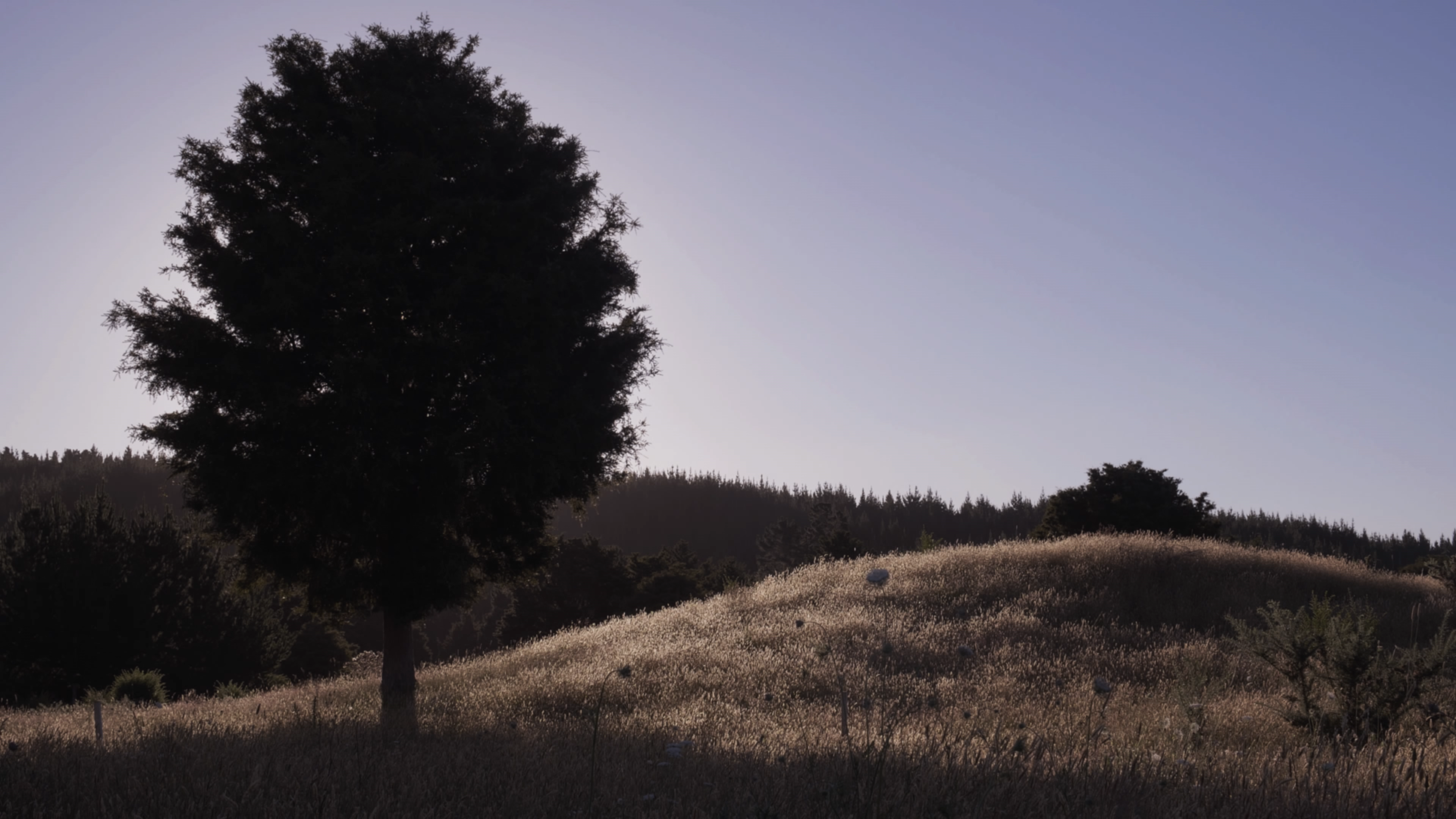 When the Moon Sees the Sun 2019 / Digital / 20:15 minutes / Single-channel, HD video, colour, sound / Courtesy: The artist / © Jeremy Leatinu'u / Photograph: / Image courtesy: The artist (crop) /