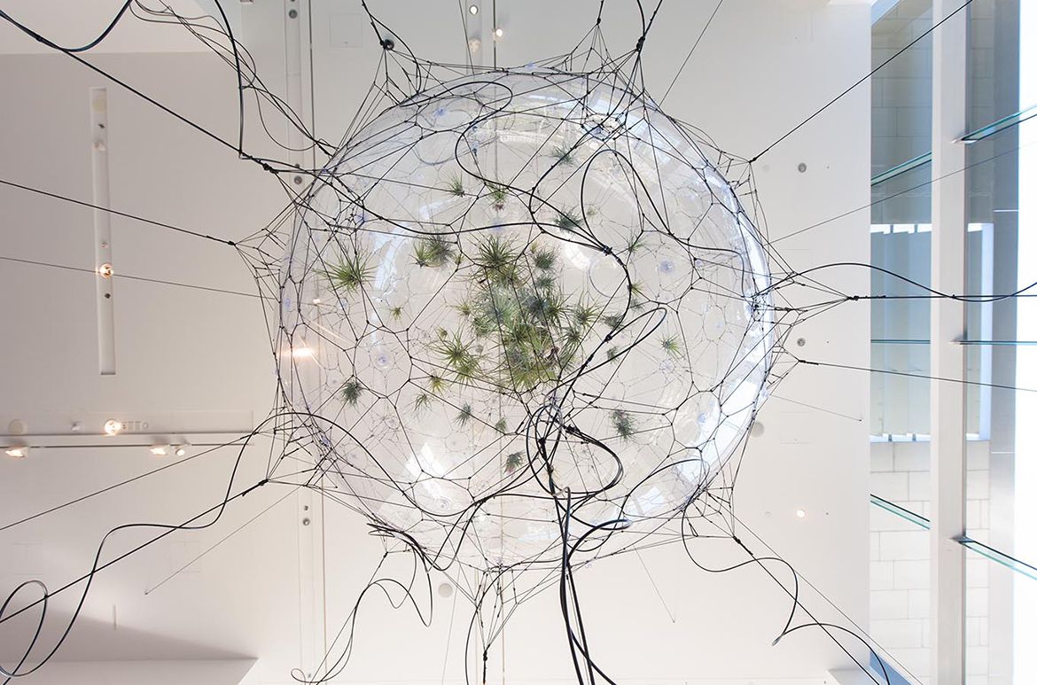 Tomás Saraceno, Argentina b.1973 / Biosphere 02 2009 / PVC, rope, nylon monofilament, acrylic, Tillandsia plants, air pressure regulator system, hydration system / Purchased 2014 with funds from Tim Fairfax, AC, through the Queensland Art Gallery | Gallery of Modern Art Foundation / Collection: Queensland Art Gallery | Gallery of Modern Art / © Tomás Saraceno