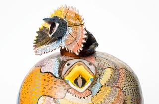 Hermannsburg Potters, Northern Territory, Australia est. 1990 / Rahel Ungwanaka, Arrernte/Luritja people, Australia b.1946 / Ankarta (Frill-necked lizard) 2005 / Earthenware, hand-built terracotta clay with underglaze colours and applied decoration / 39 x 26cm (diam.) (complete);pot: 28 x 26cm (diam.);lid: 12 x 17.5 x 13cm / Purchased 2006. QAG Foundation / Collection: Queensland Art Gallery | Gallery of Modern Art / © Rahel Ungwanaka