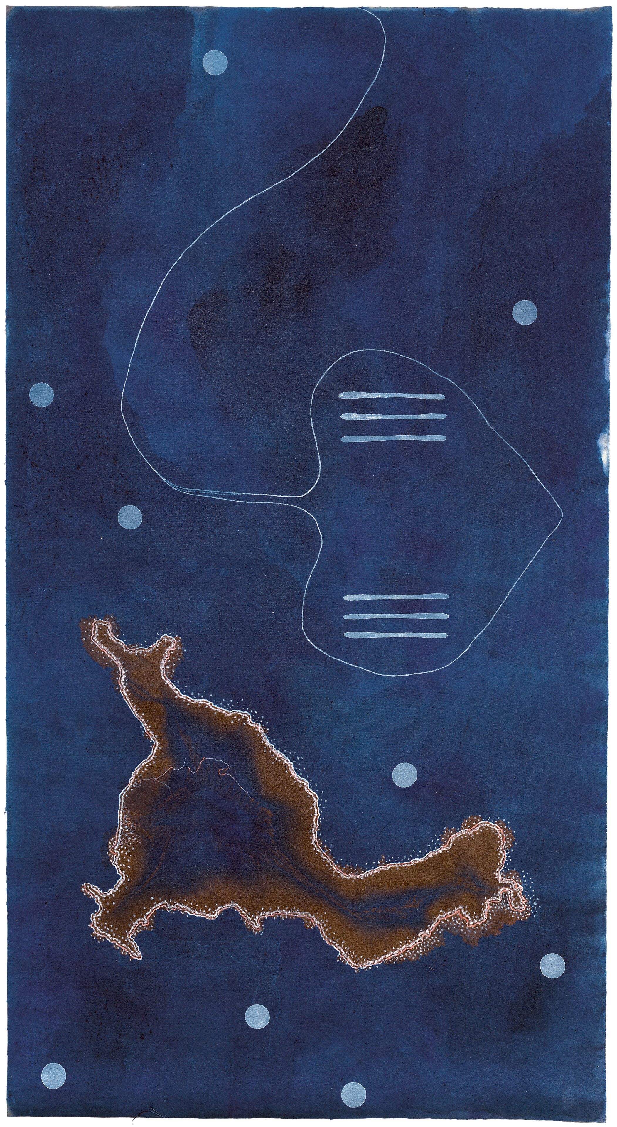 Judy Watson / Waanyi people / Australia b.1959 / palm cluster 2007 / Pigment, pastel, synthetic polymer paint, carbon ink on canvas / 196 x 106cm / Purchased 2007 / National Gallery of Australia, Canberra