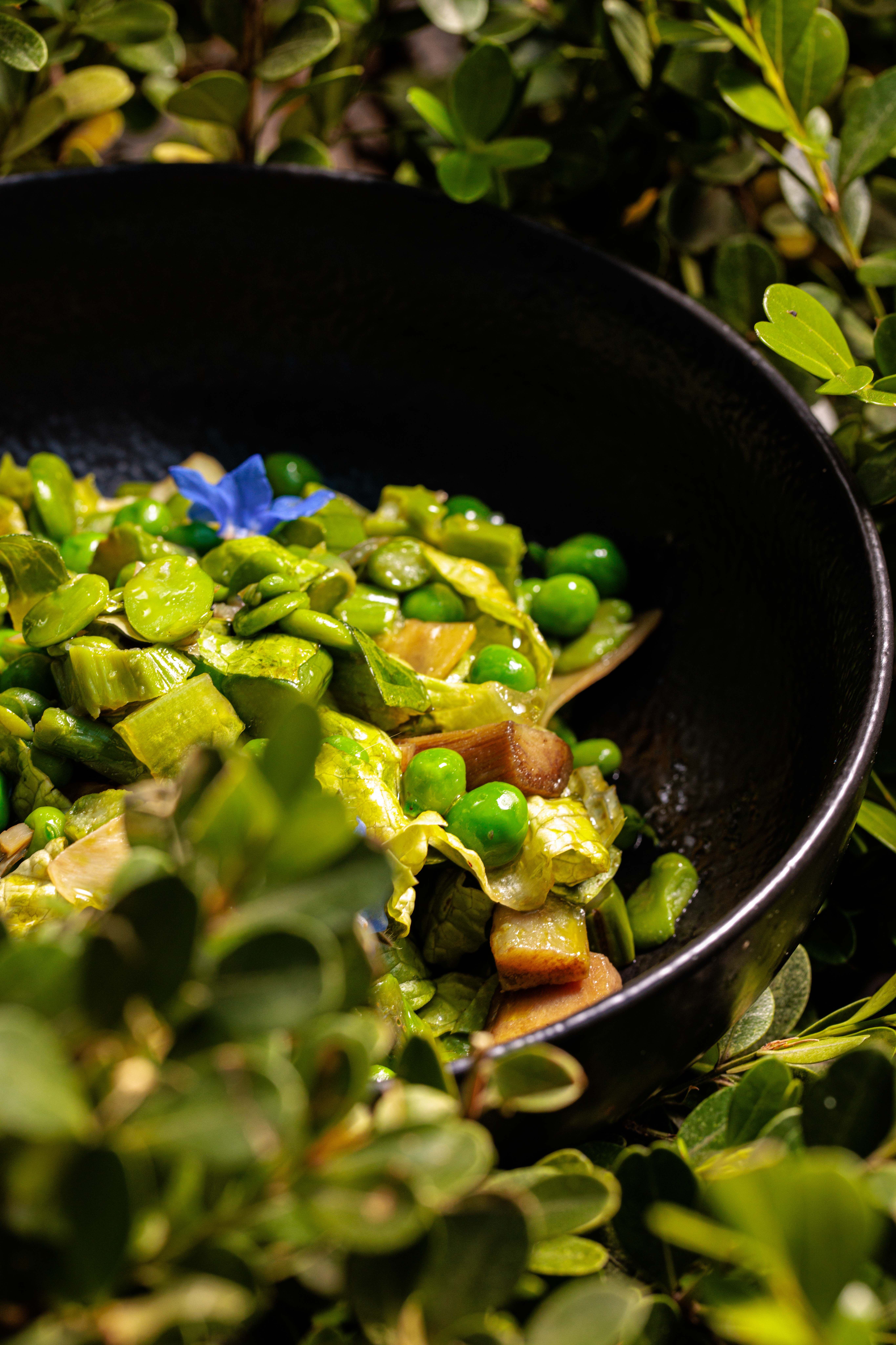 Madeleine Rome - Cusine Menu