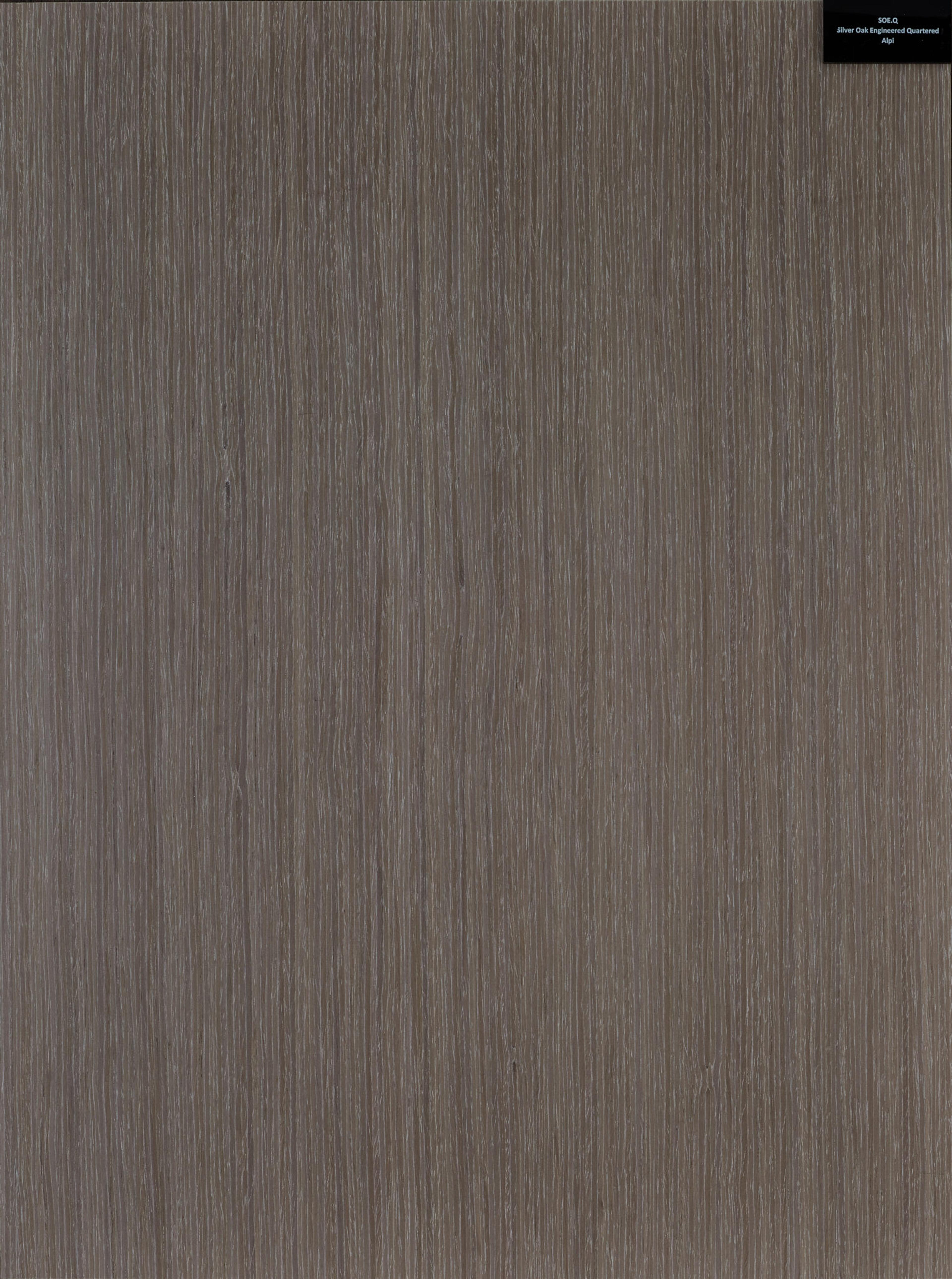 Silver Oak Engineered Quartered wood veneer