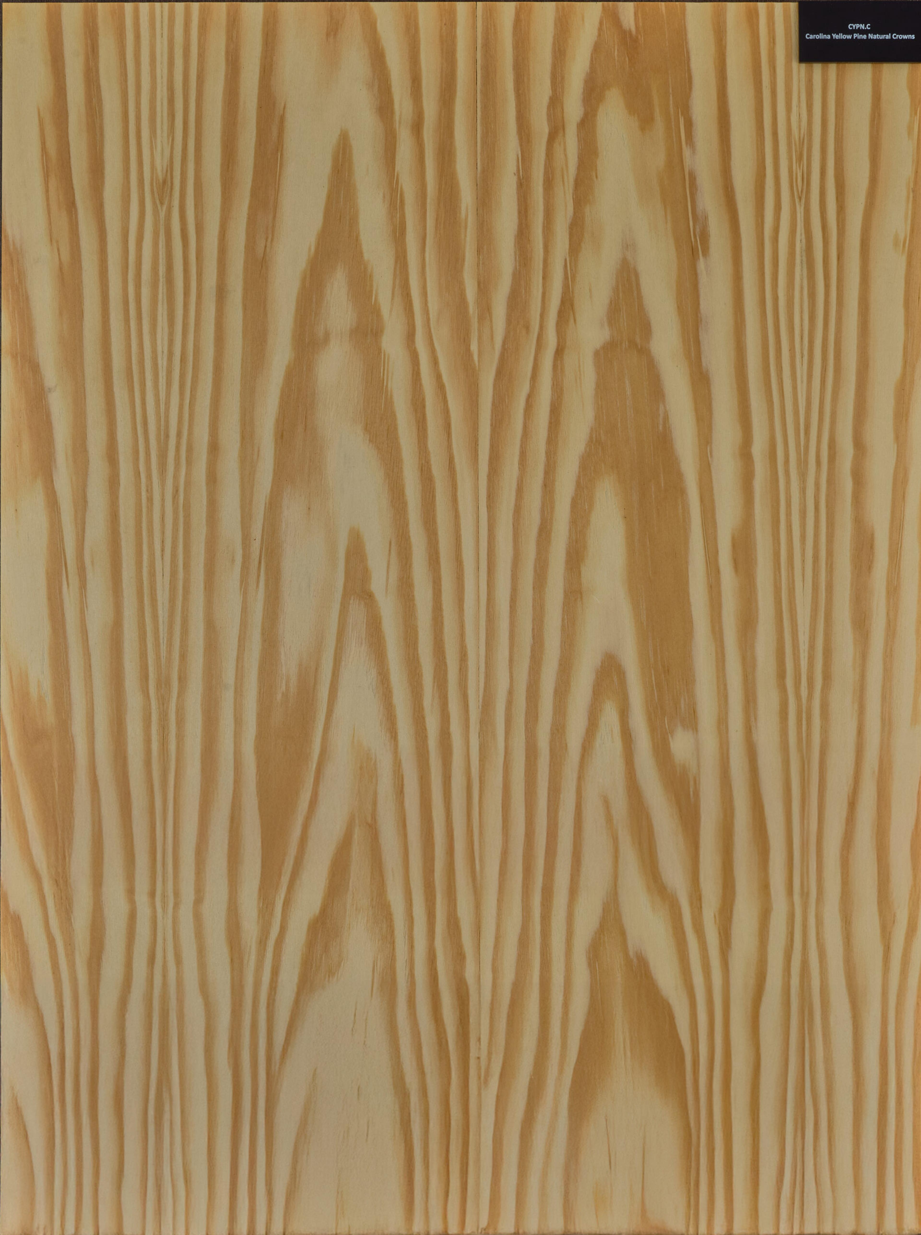 Rimeso druri Carolina Yellow Pine Natural Crowns
