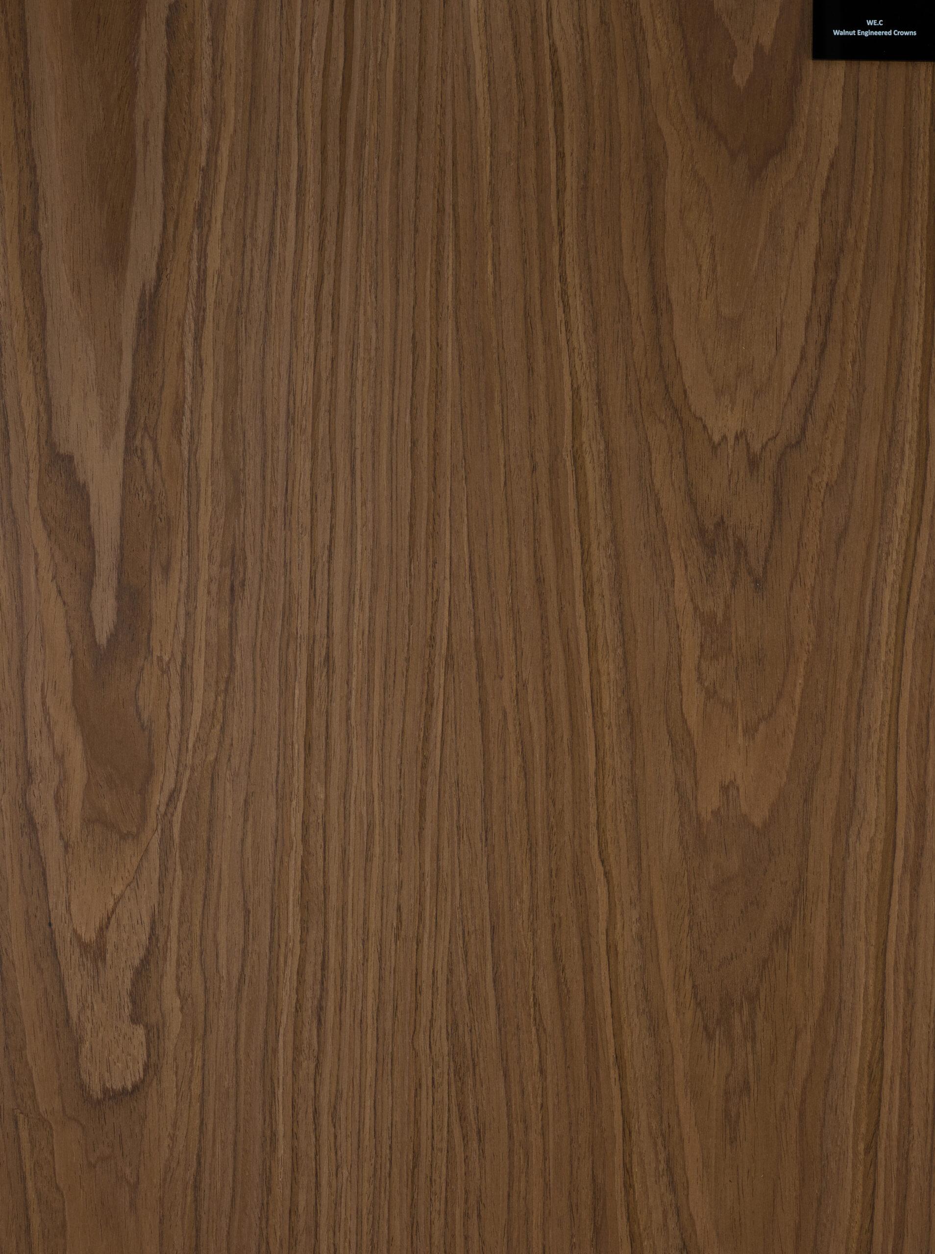 Walnut Engineered Crowns wood veneer