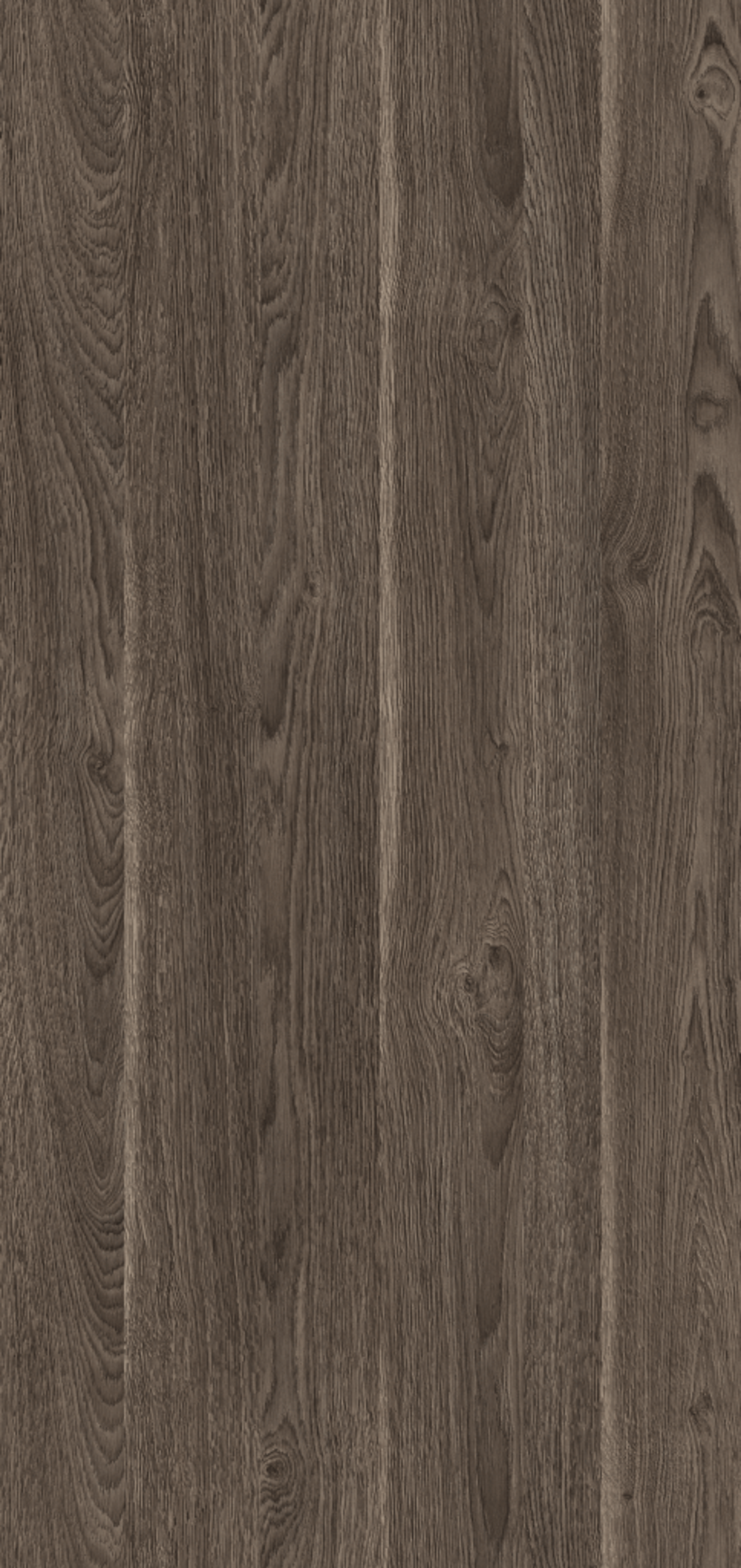 Panel melamine P48 Sand Oak Grigio, nga Saviola, pamja 3