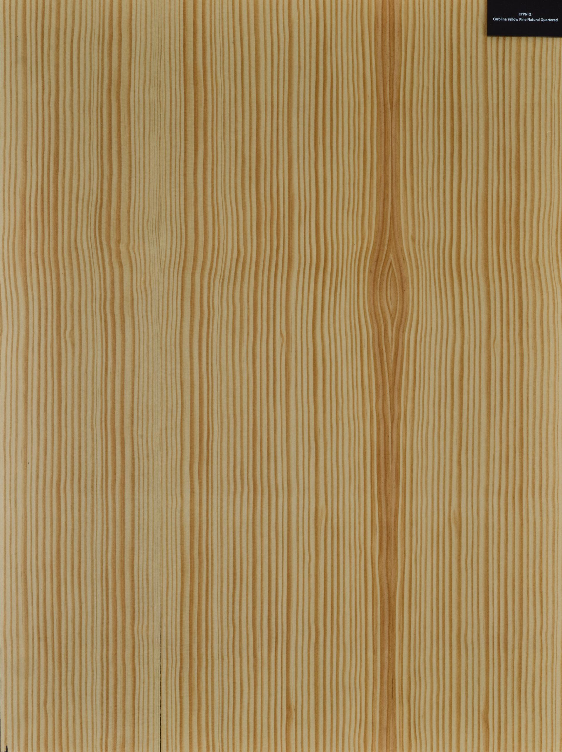 Carolina Yellow Pine Natural Quartered wood veneer