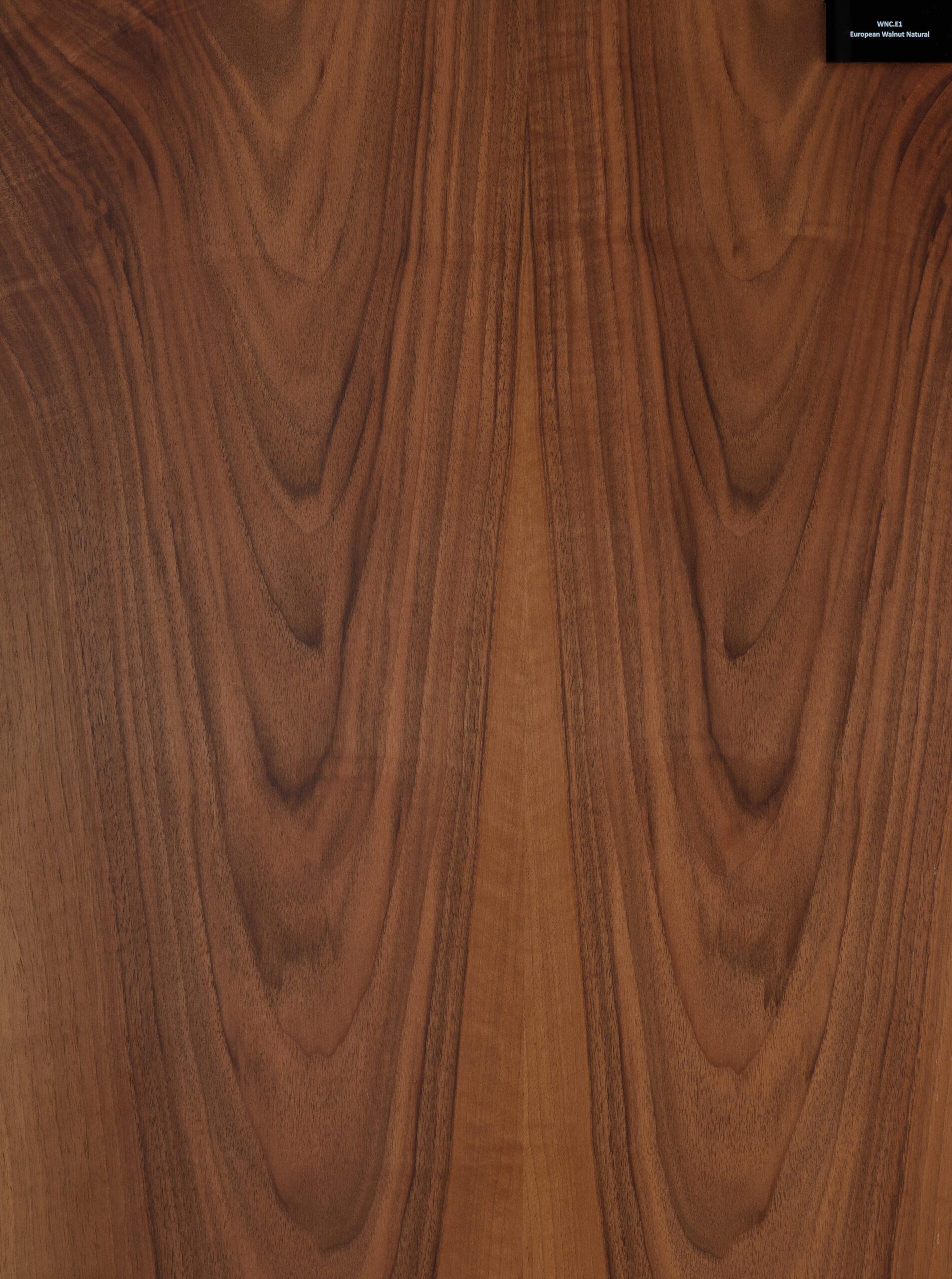 Rimeso druri Walnut European Natural