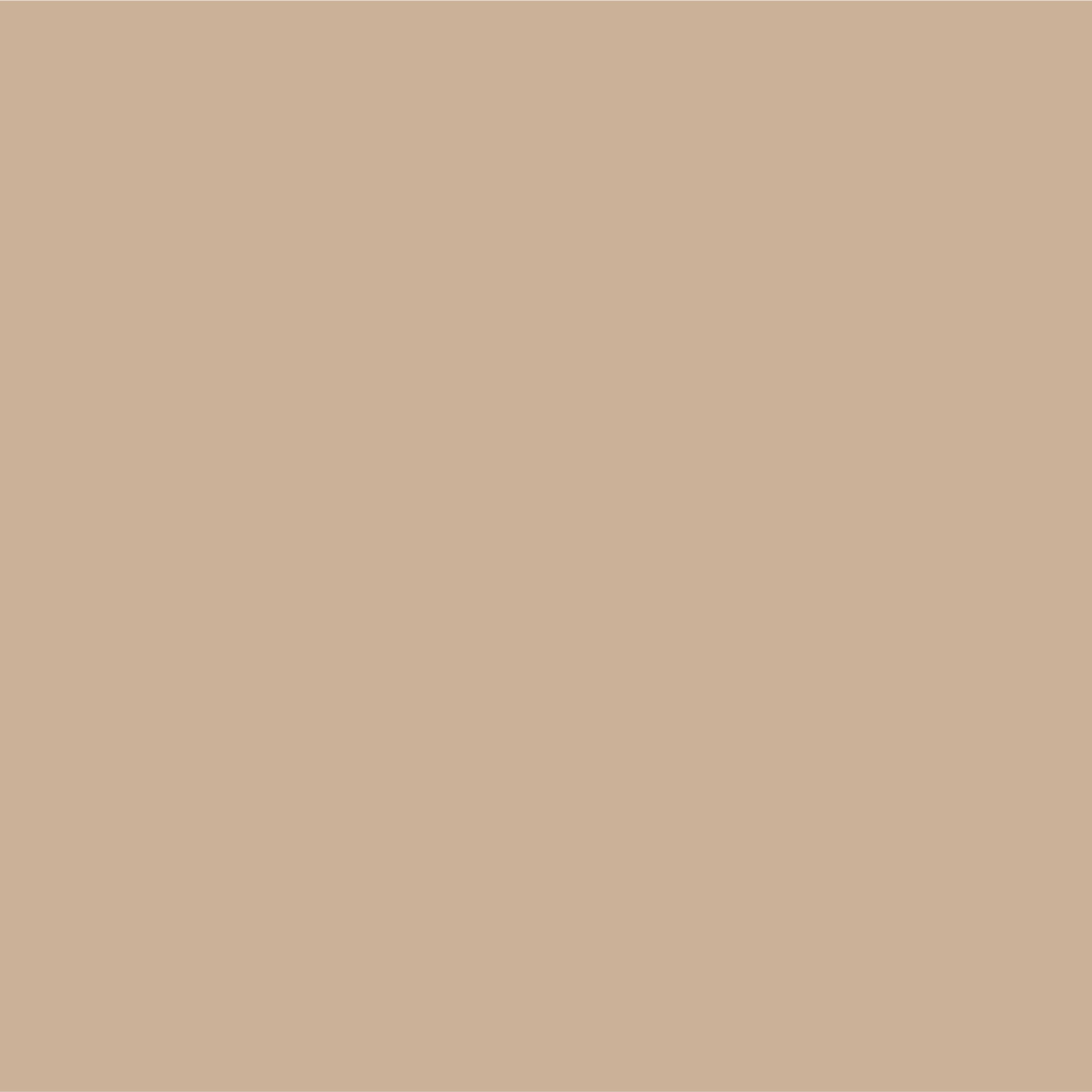 Cappuccino melamine chipboard by Yildiz