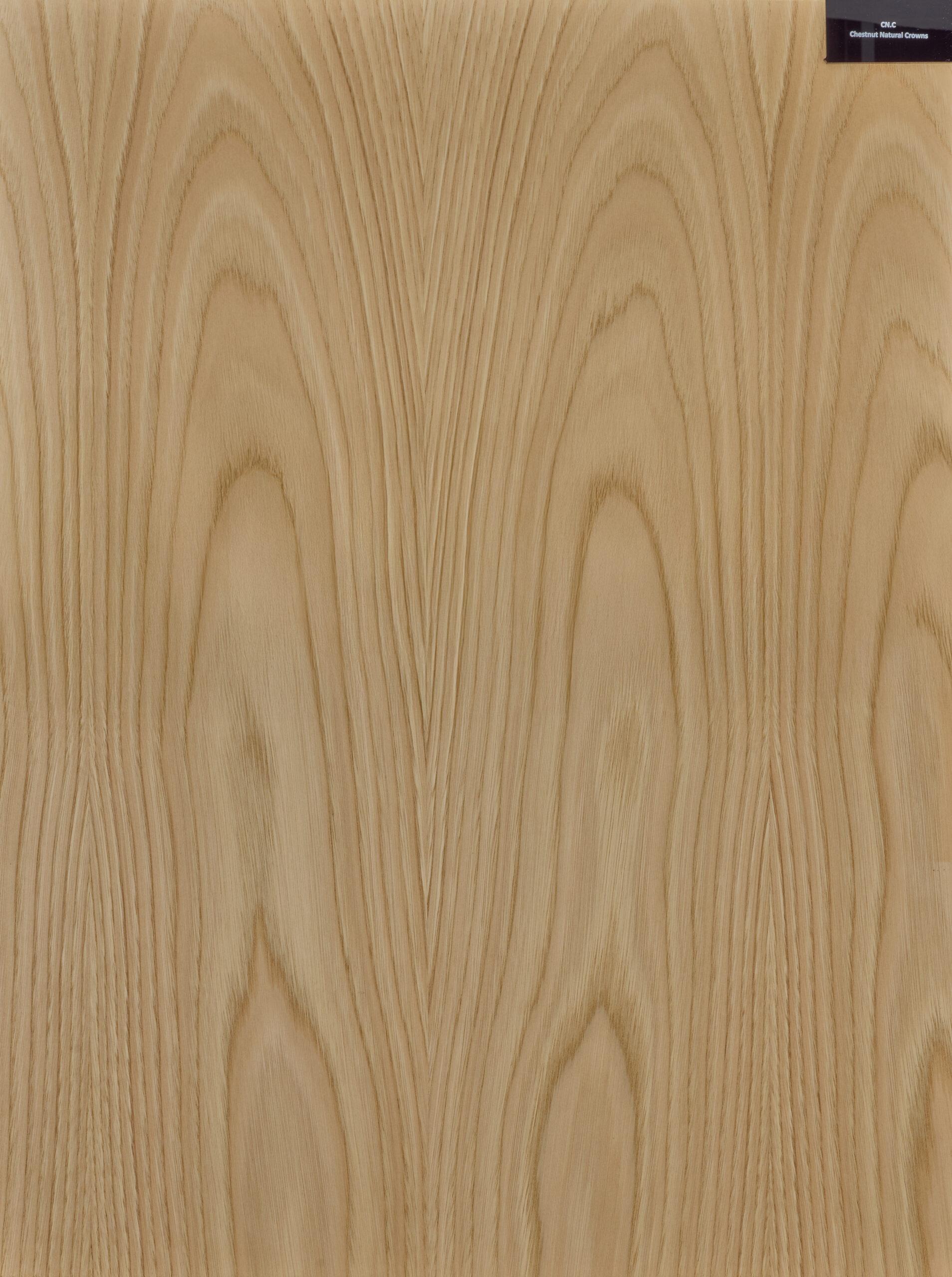 Rimeso druri Chestnut Natural Crowns