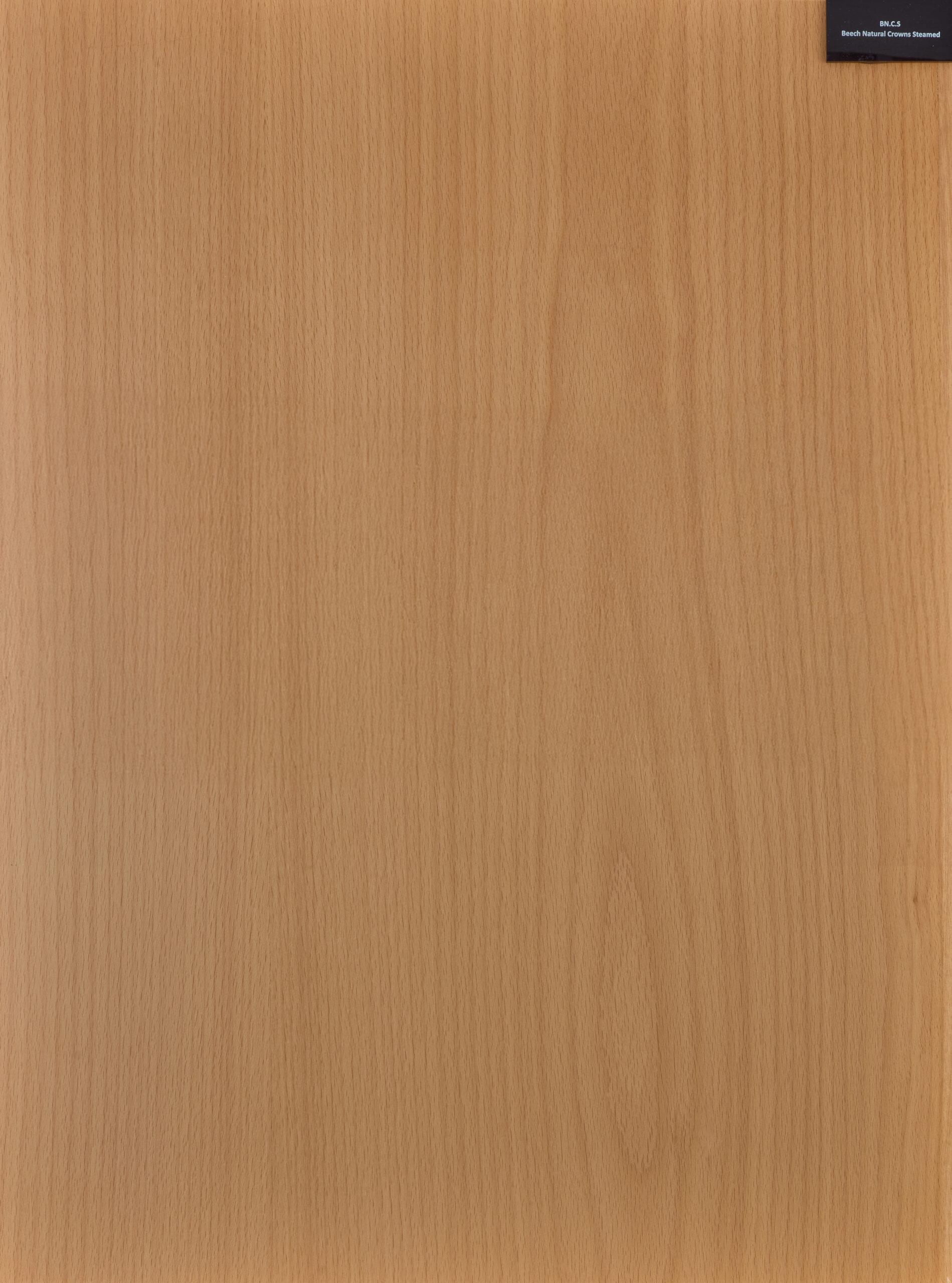 Rimeso druri Beech Natural Crowns Steamed