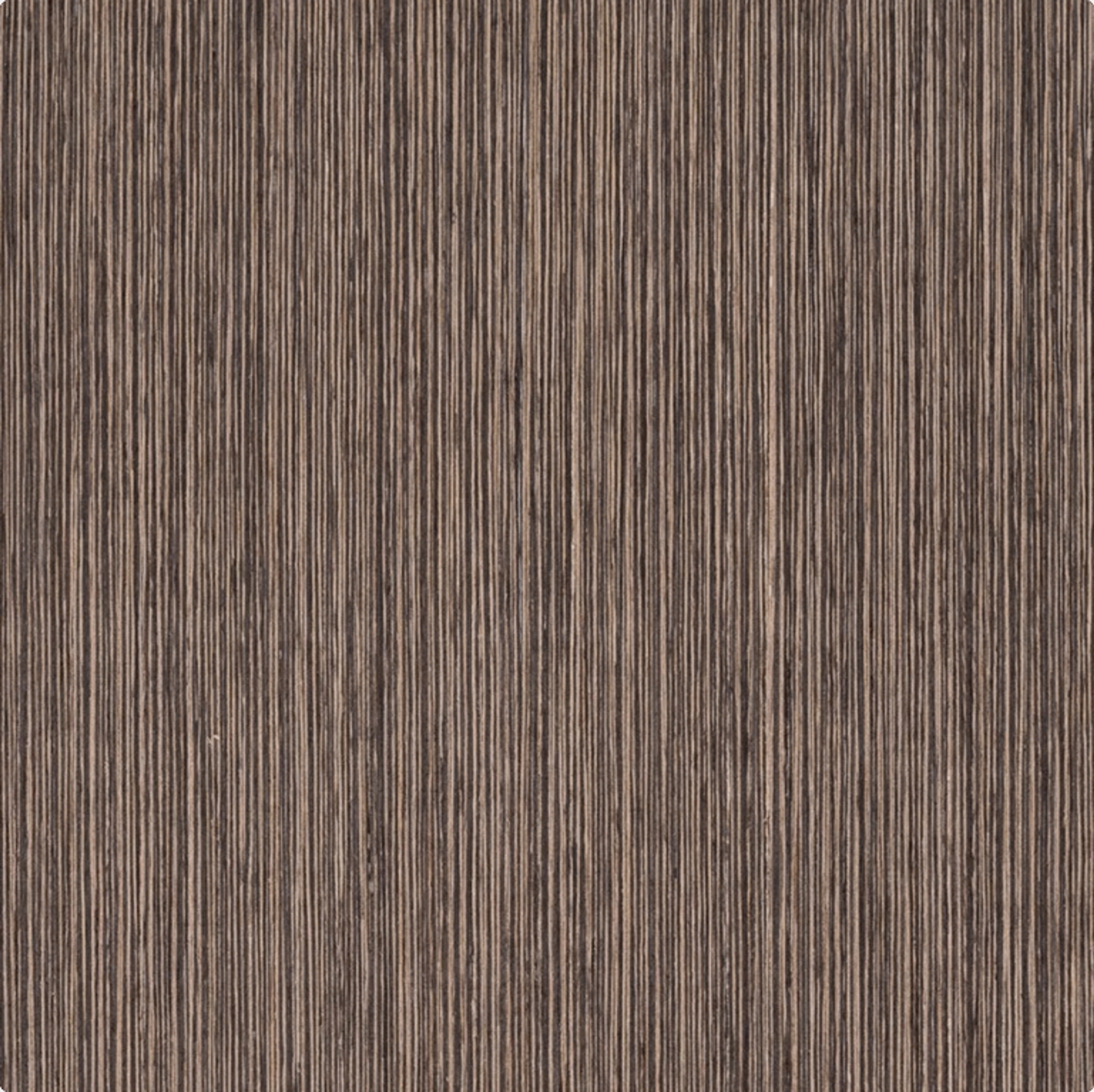 Rimeso druri Newood Oak, nga TABU, pamja 2