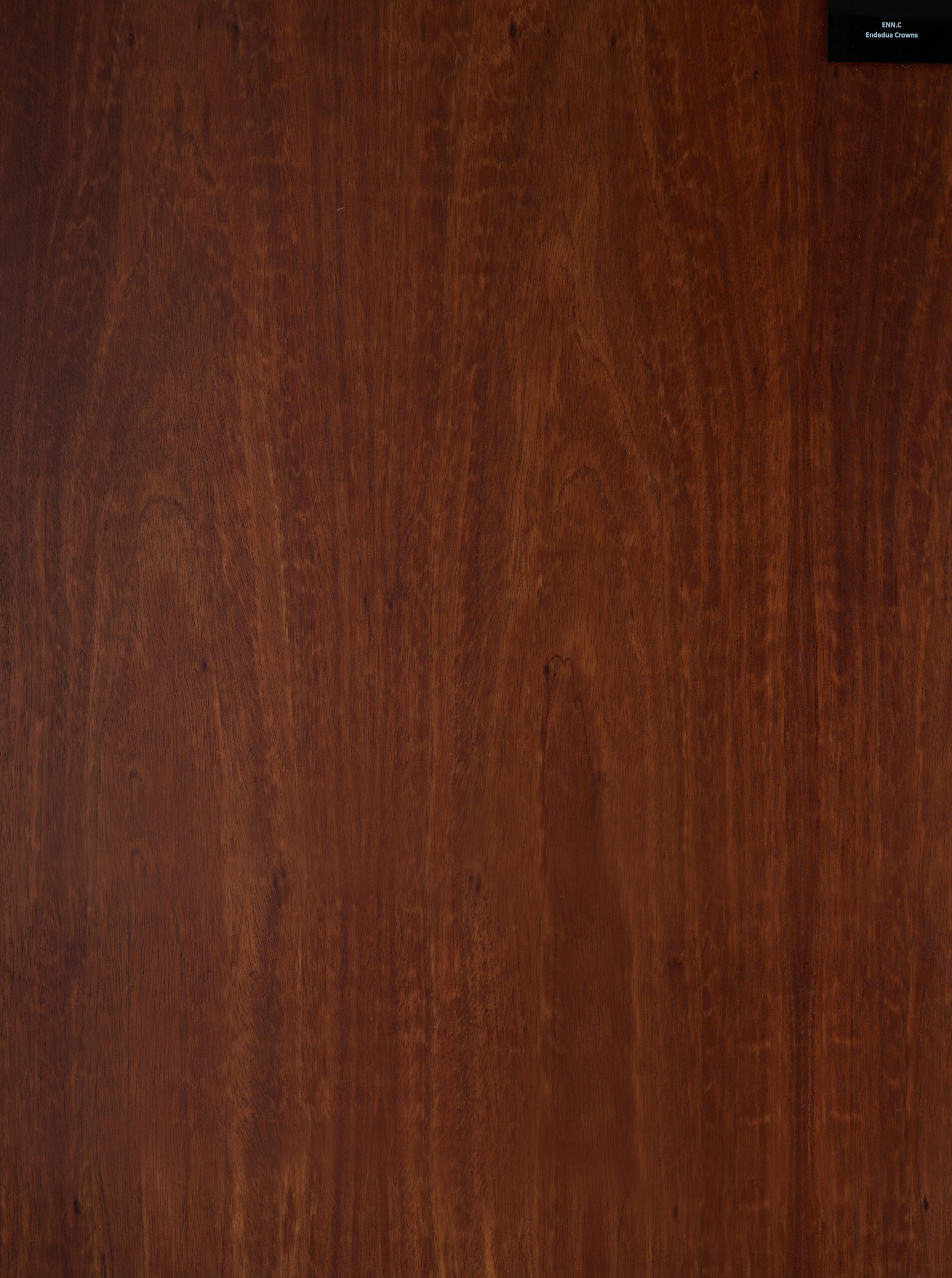 Endenua Crowns wood veneer