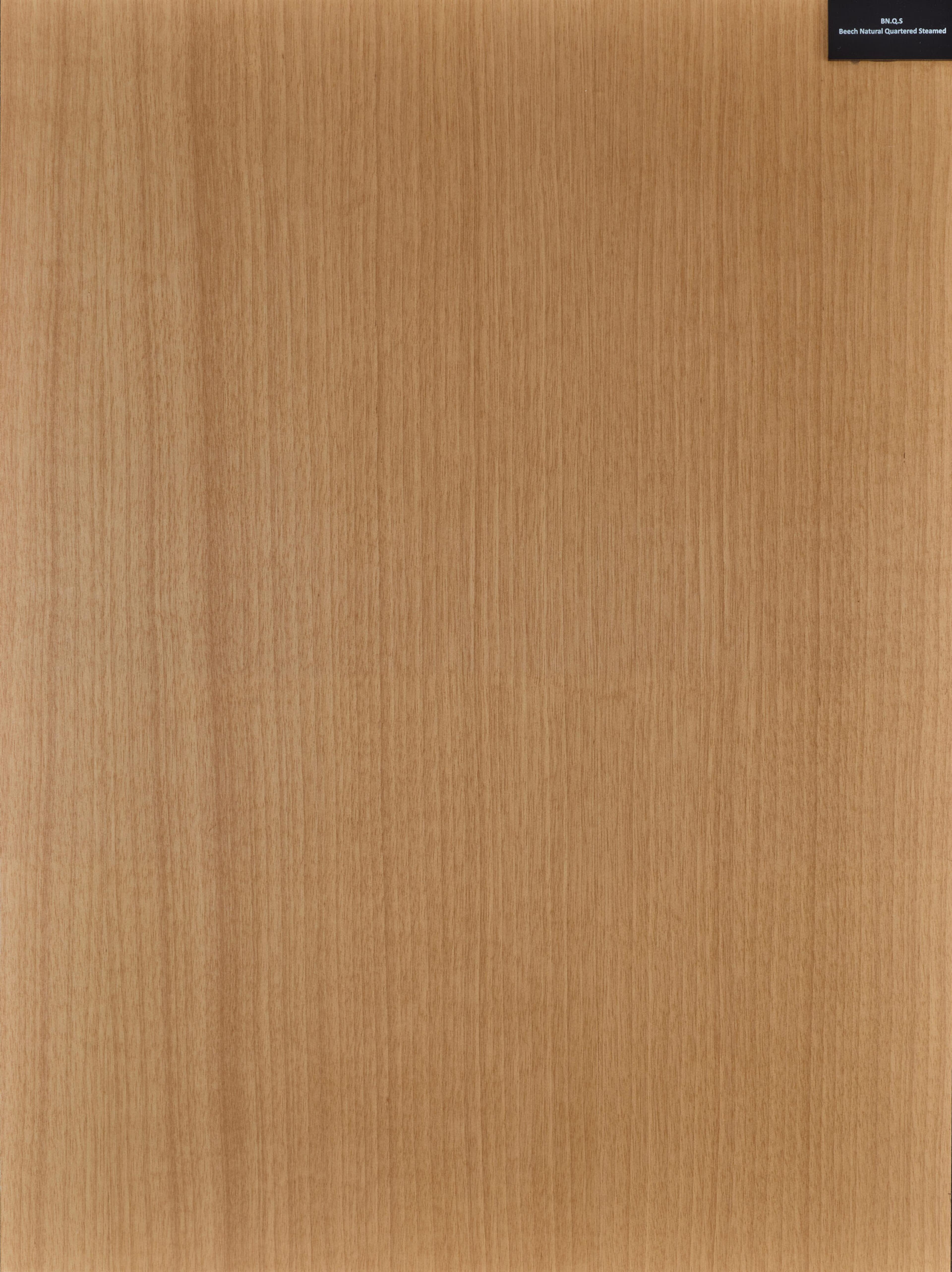 Rimeso druri Beech Natural Quartered Steamed