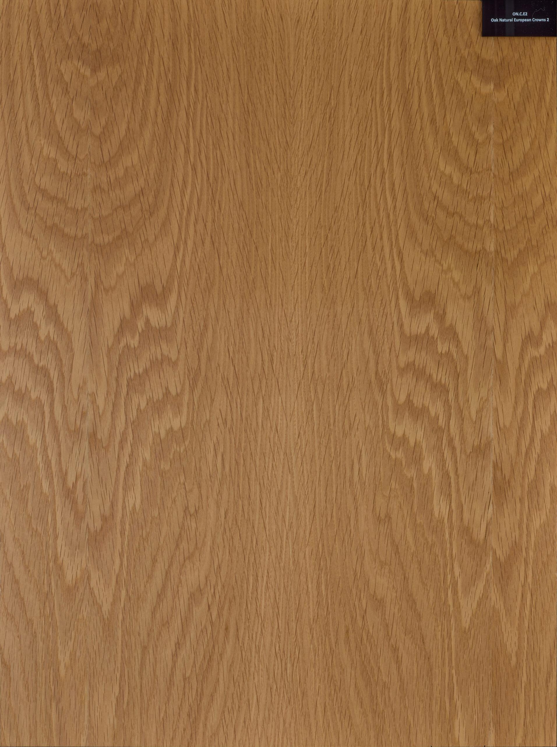 Oak European Natural Crowns wood veneer