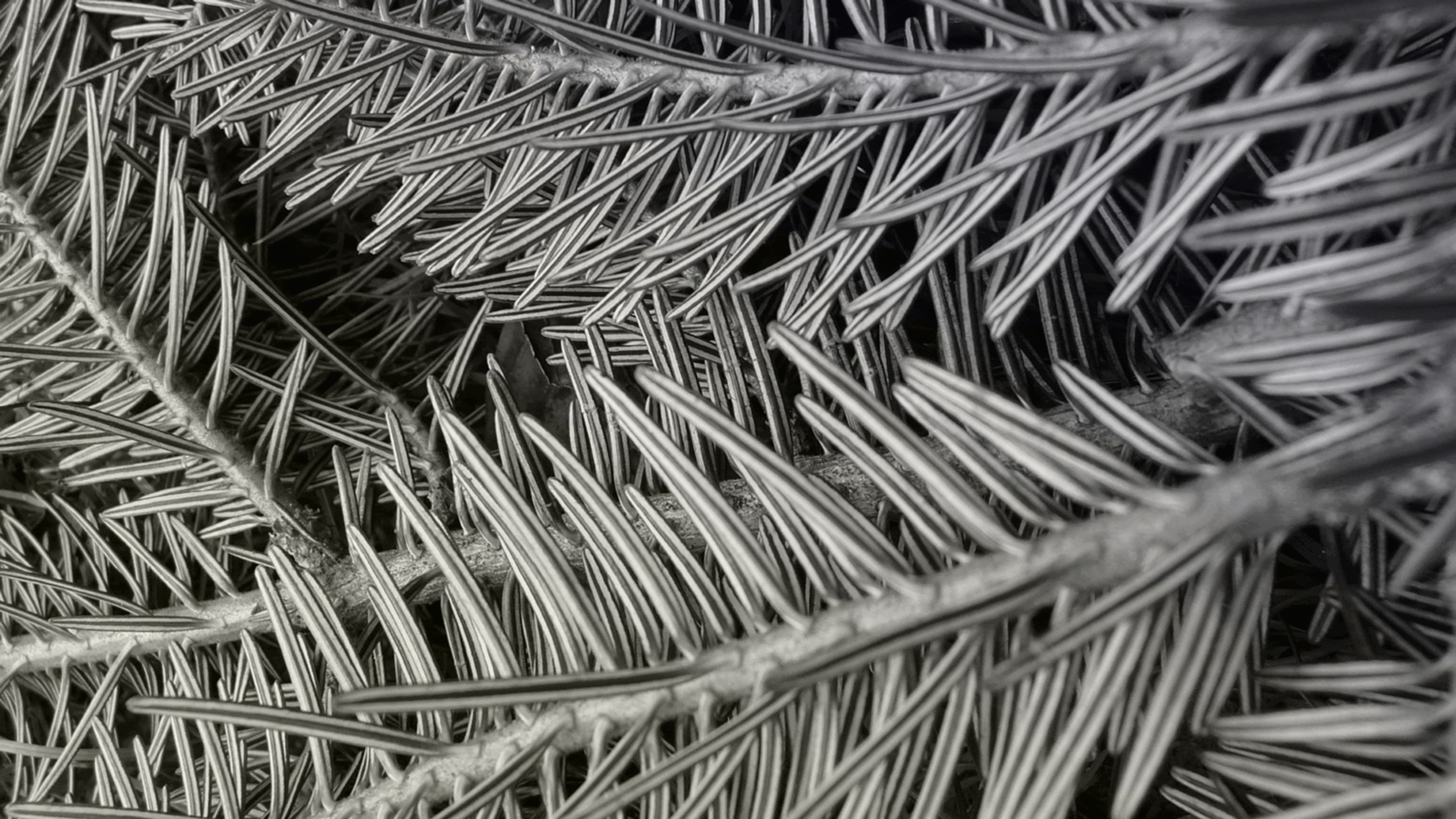 Frezya melamine chipboard by Yildiz, view 3