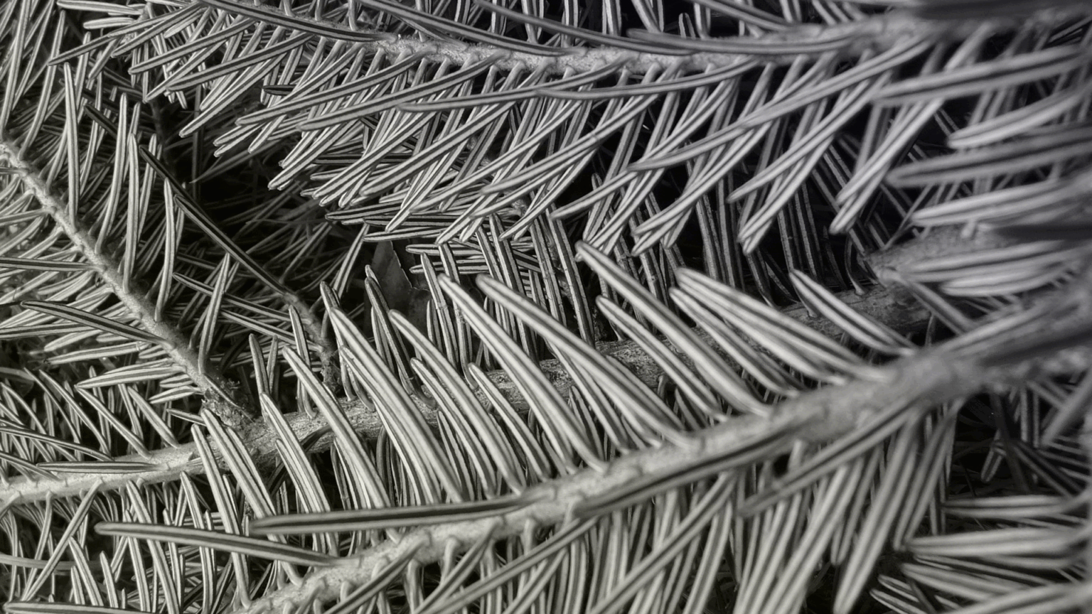 Frezya melamine chipboard by Yildiz, view 3