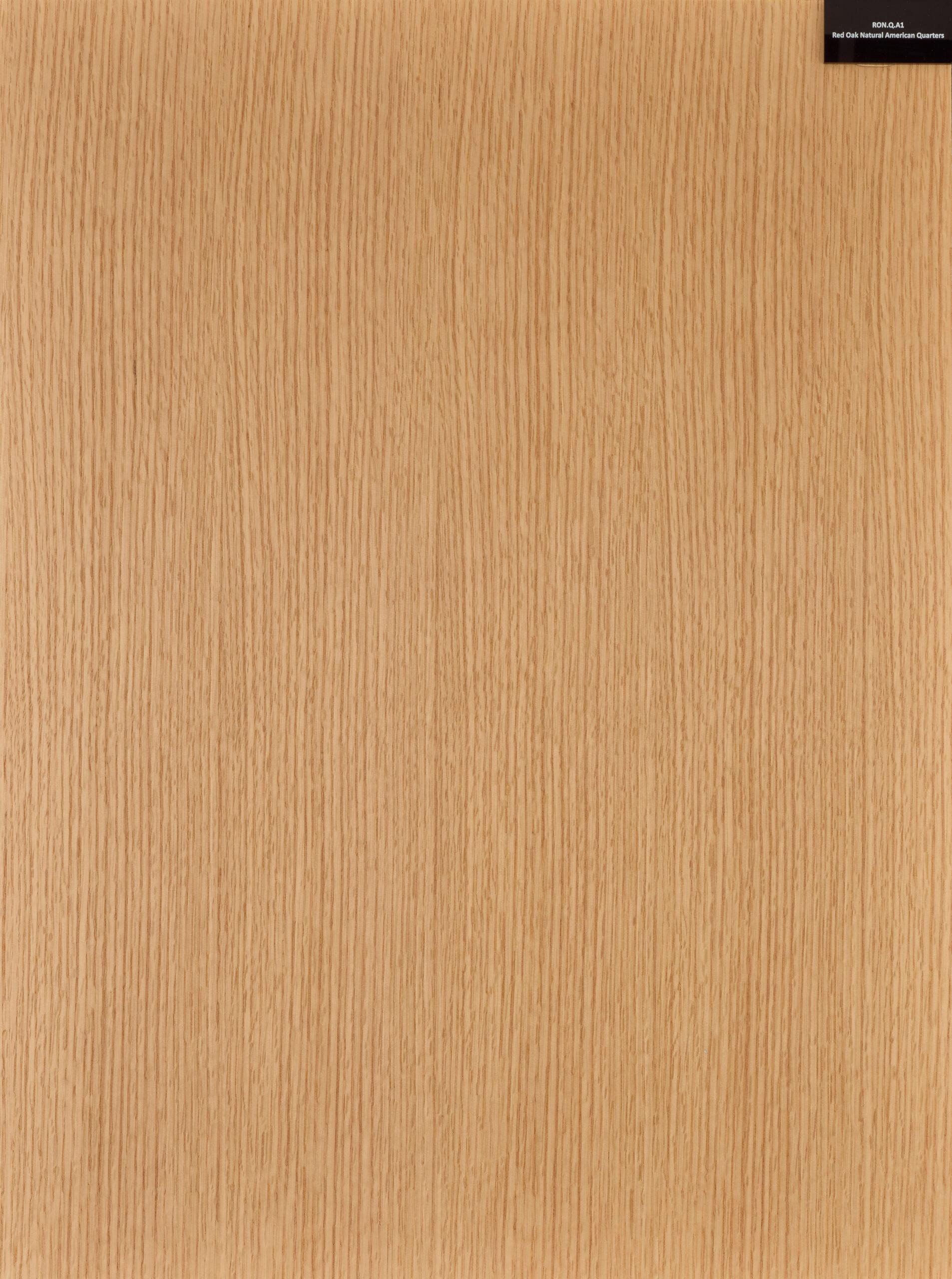 Rimeso druri Red Oak American Quarters