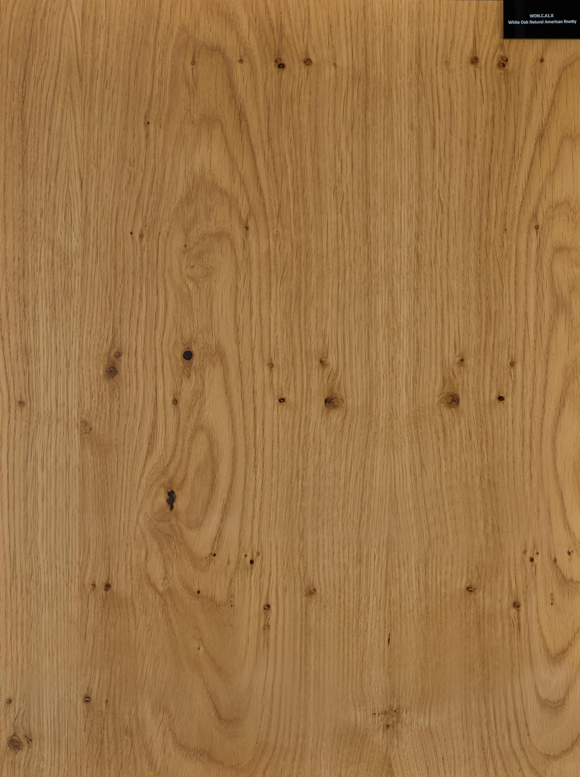 White Oak American Knotty 1 wood veneer