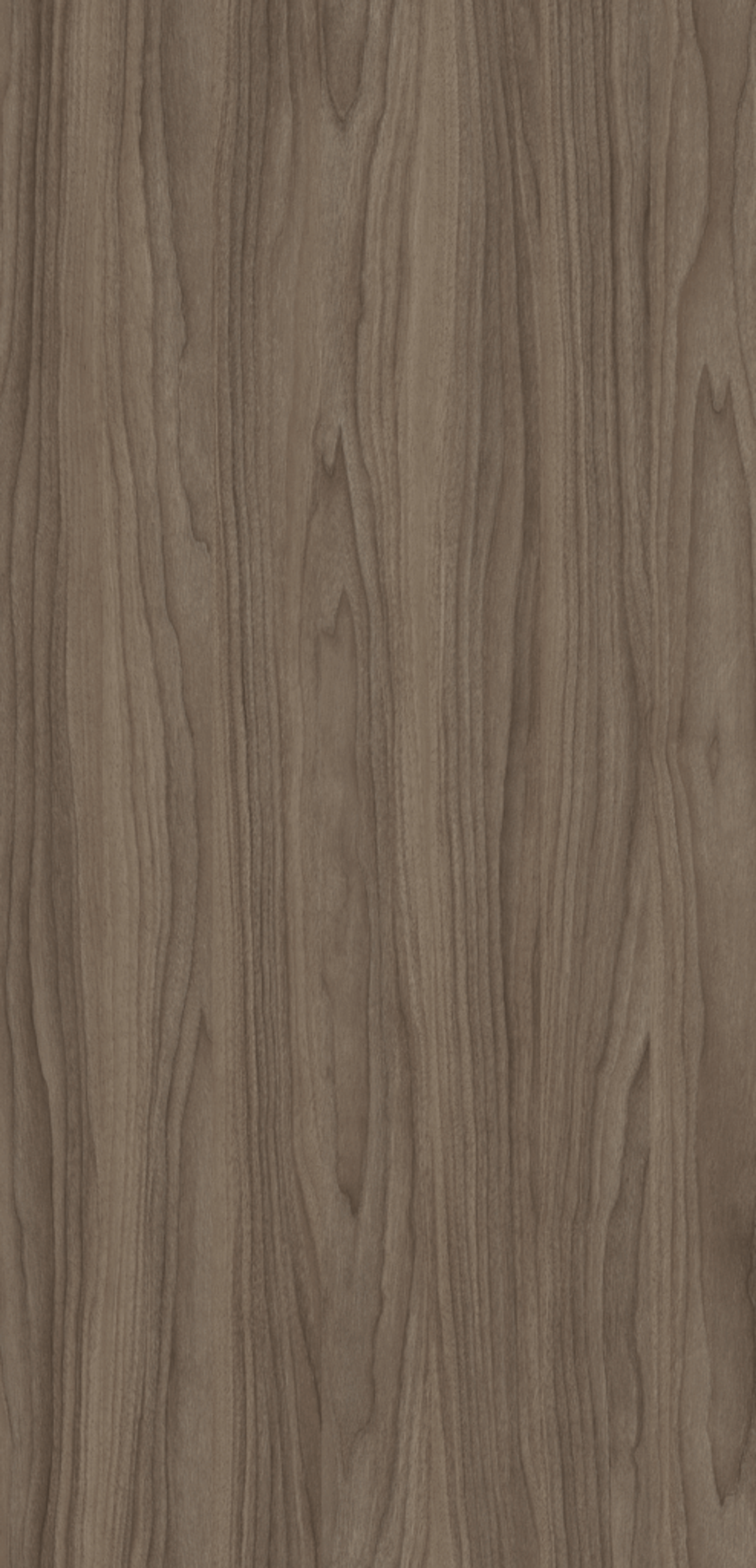 P24 Noce Vanguard Grigio kitchen worktop by Saviola, view 2