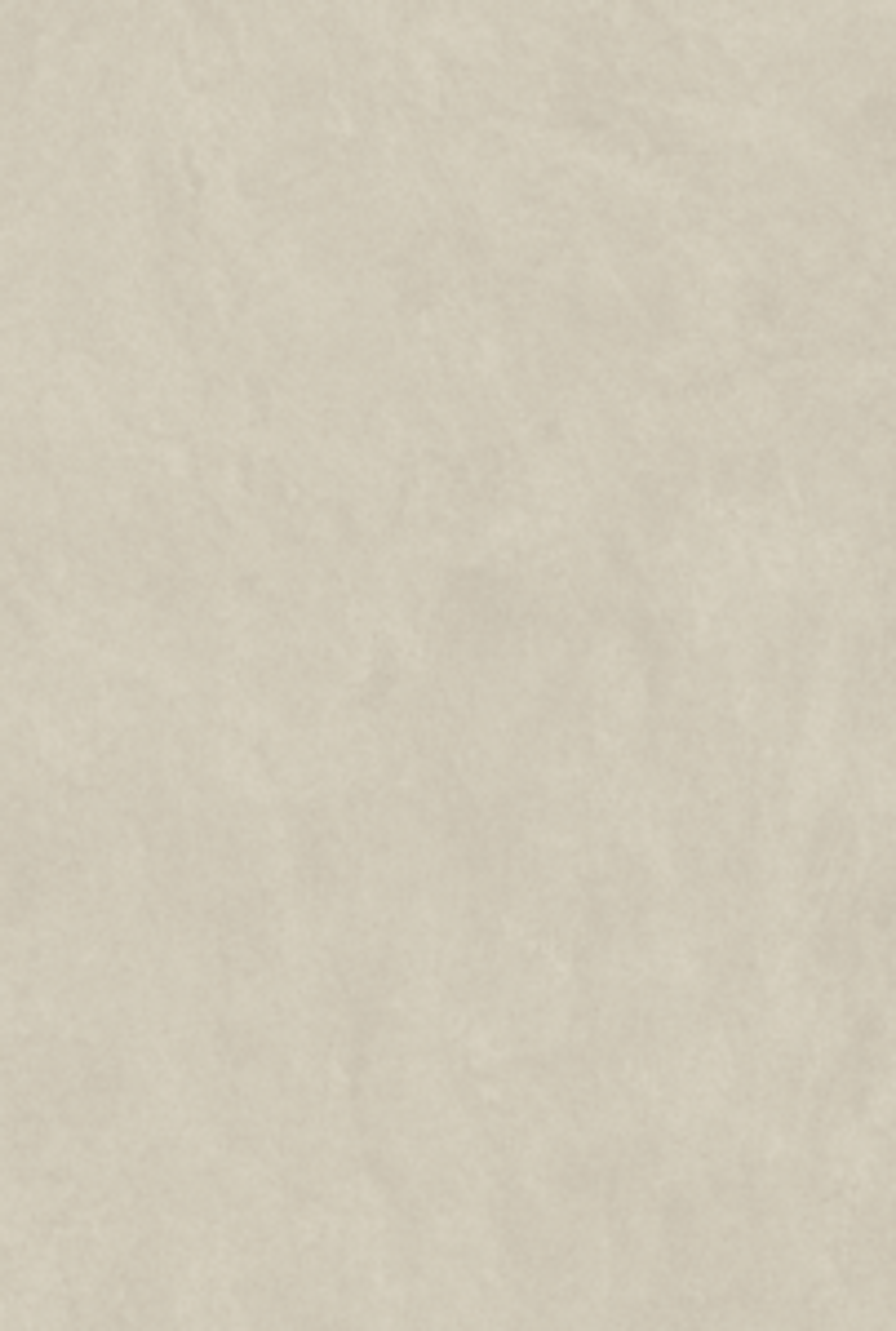 A05 Anamudi Stone Beige Chiaro melamine chipboard by Saviola, view 5