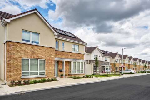 Baltic Amber application 1