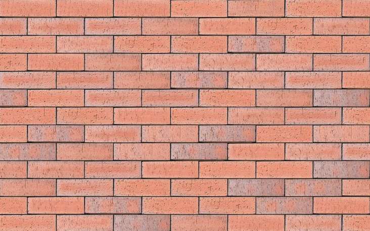 County Multi Dragfaced