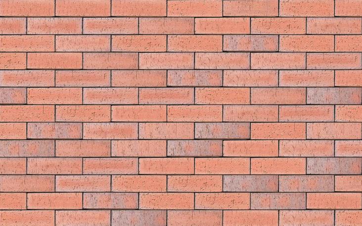 County Multi Dragfaced