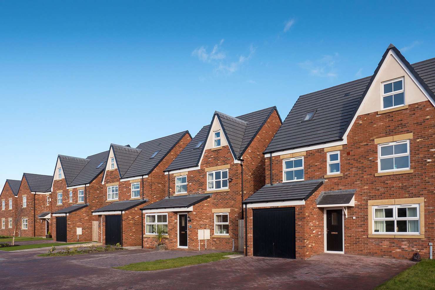 Victorian Mixture application 5