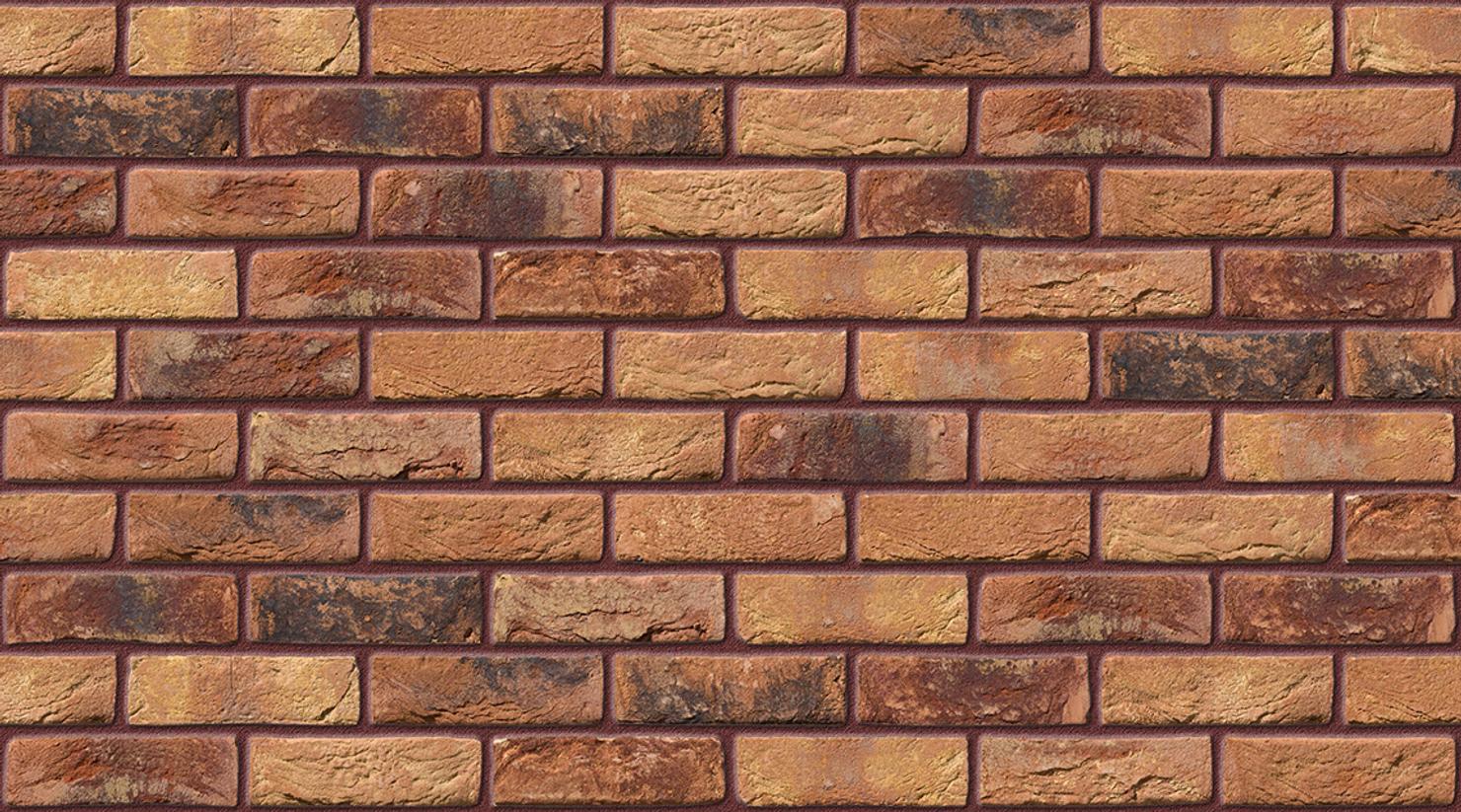 Primula with Brown Red mortar