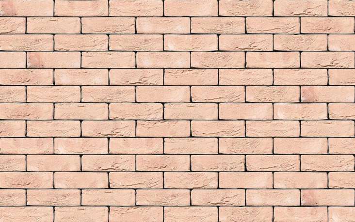 Oakthorpe Buff Multi